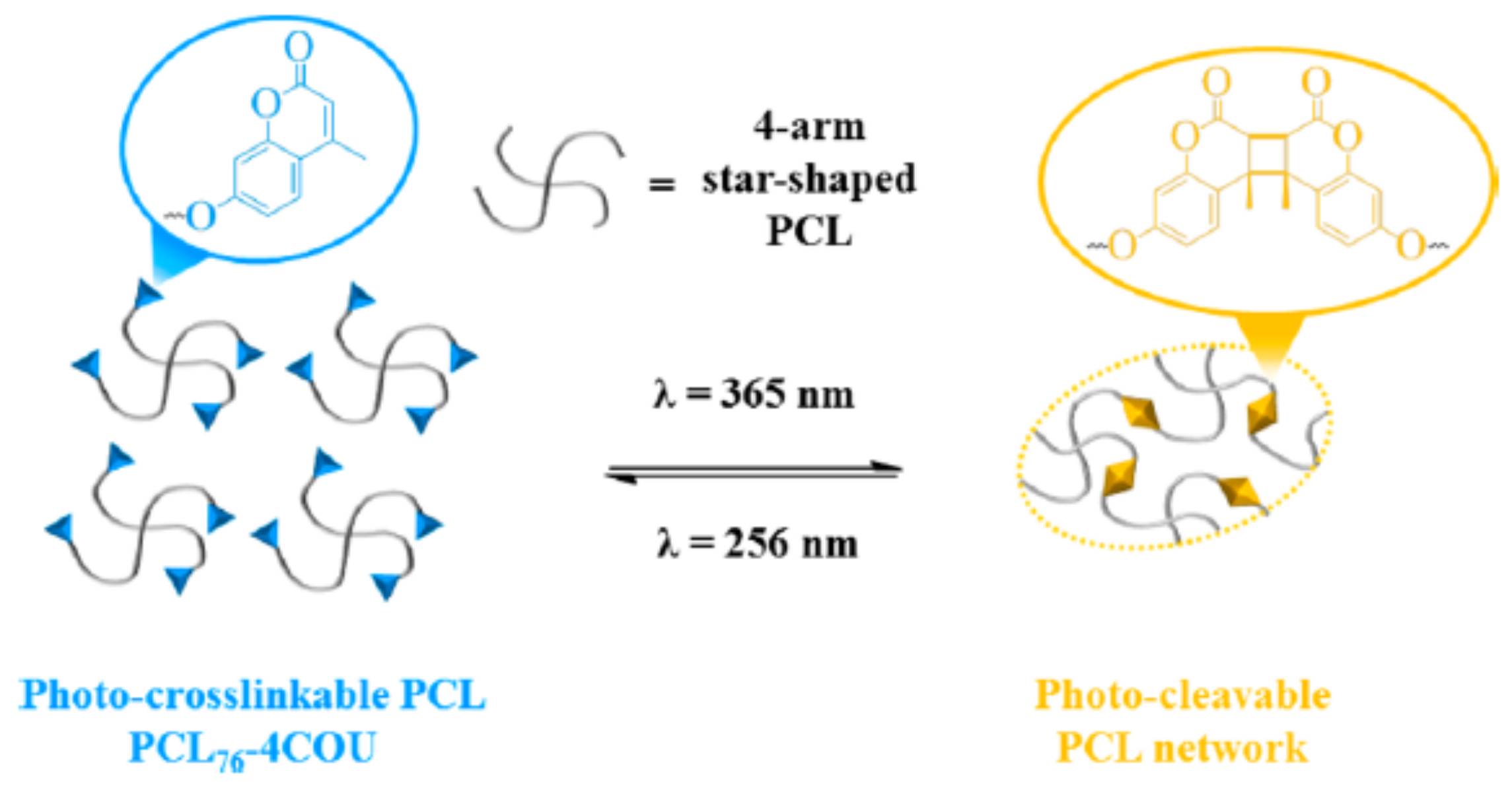 Polymers 13 00056 g037