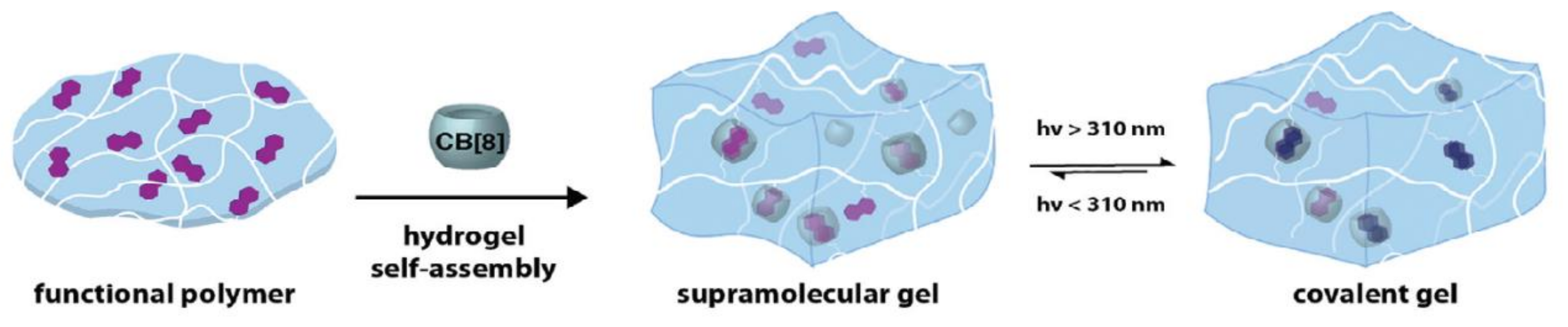 Polymers 13 00056 g047
