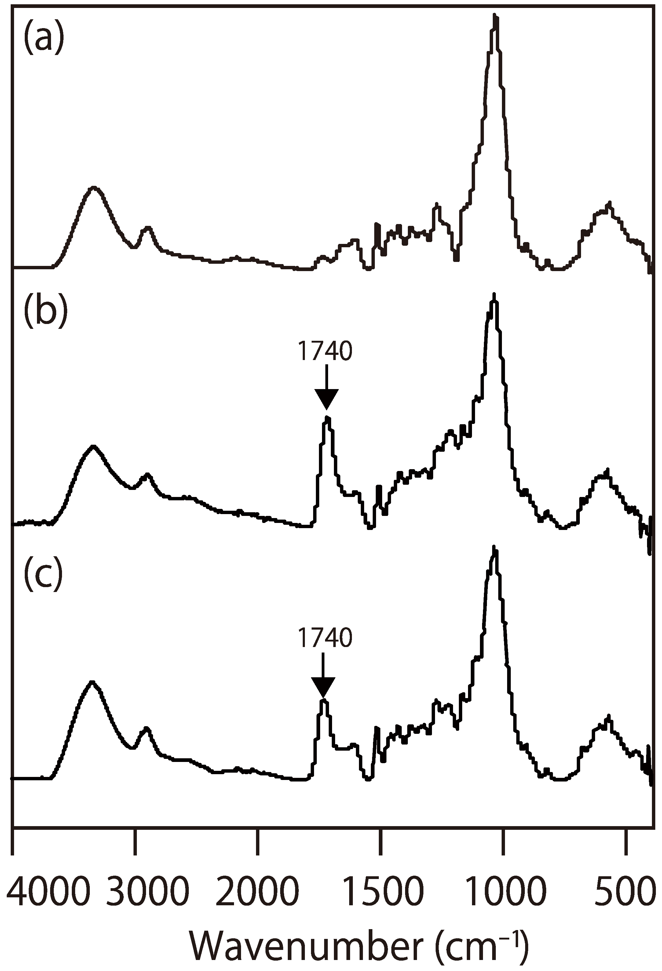 Polymers 13 00058 g001 Polymers 13 00058 g001