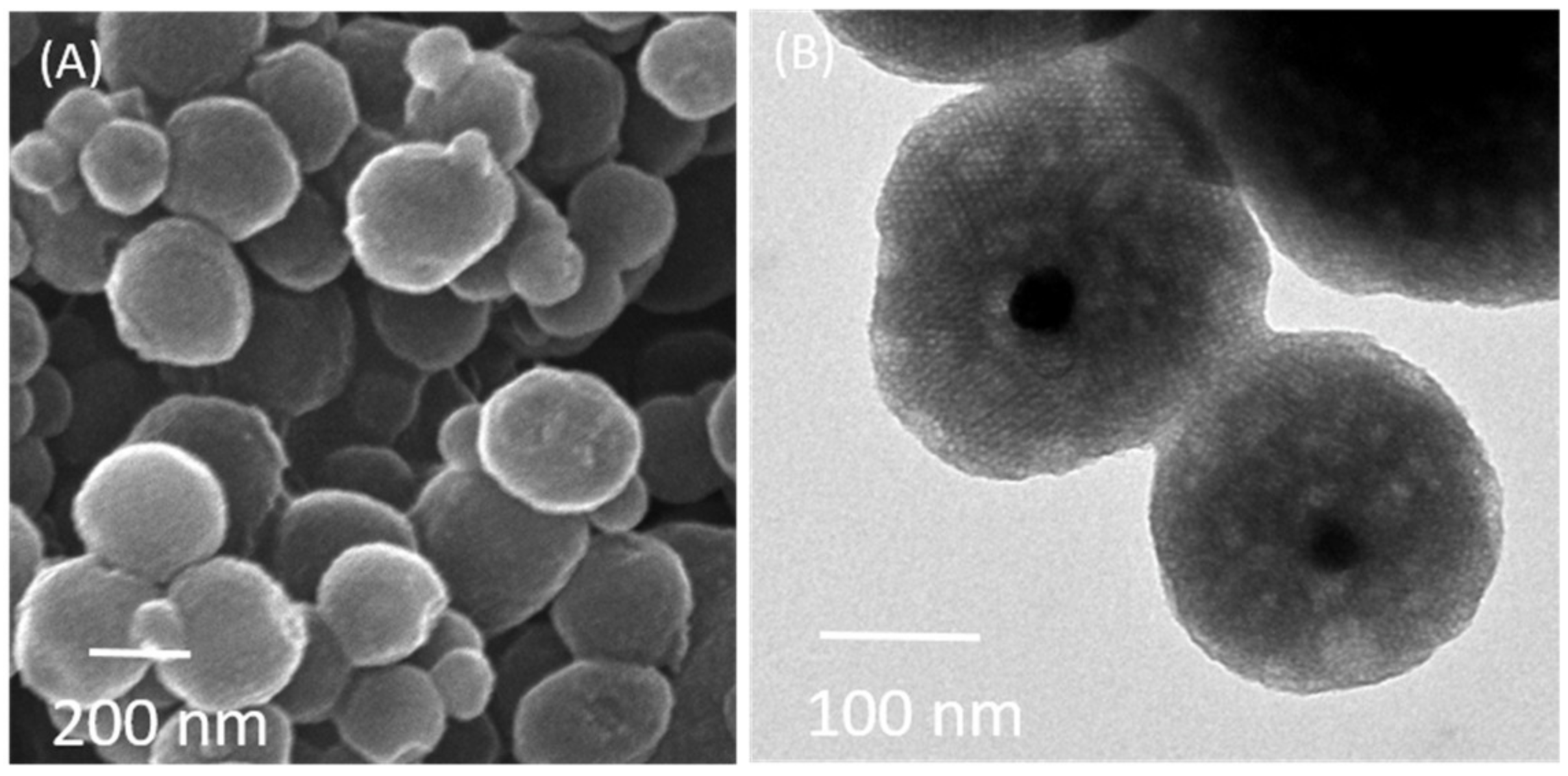 Polymers 13 00059 g001