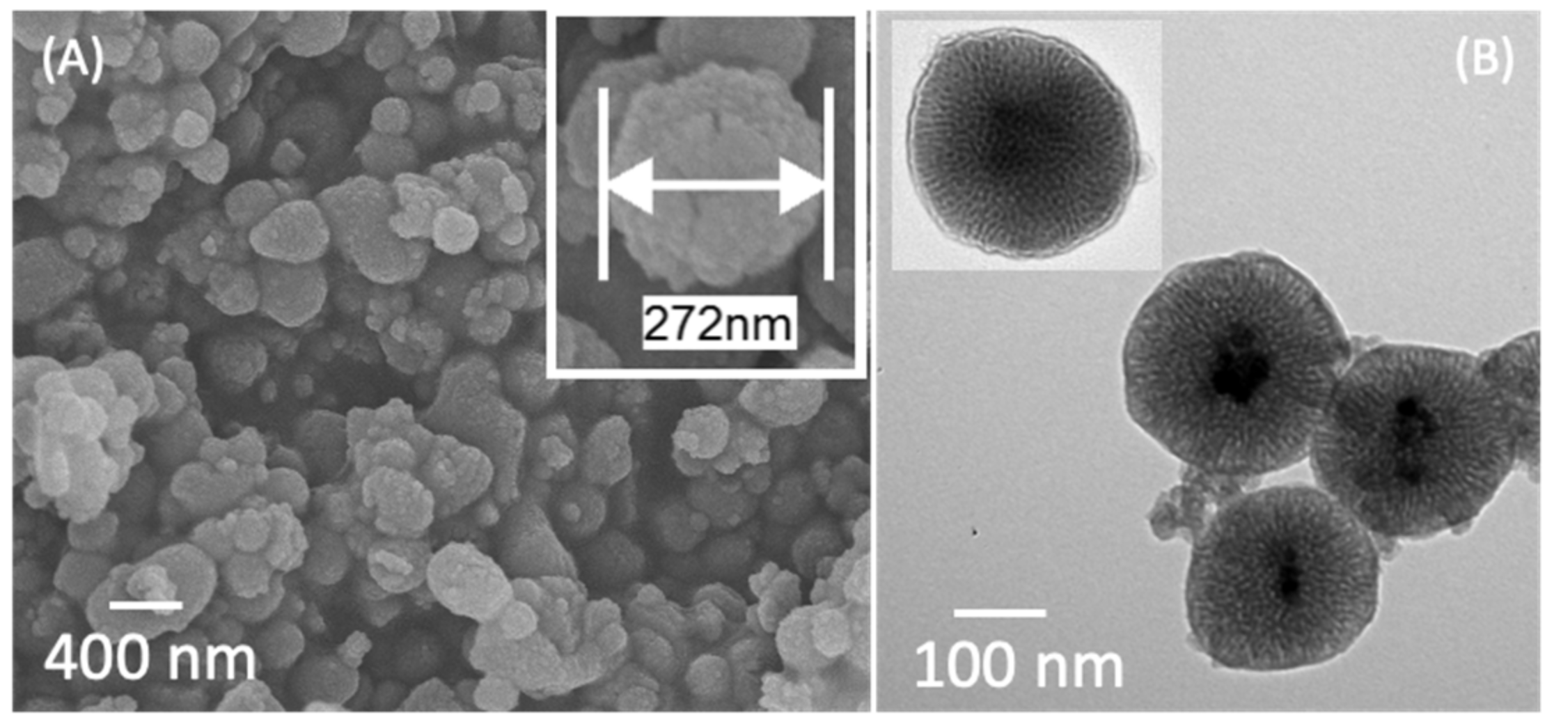 Polymers 13 00059 g002