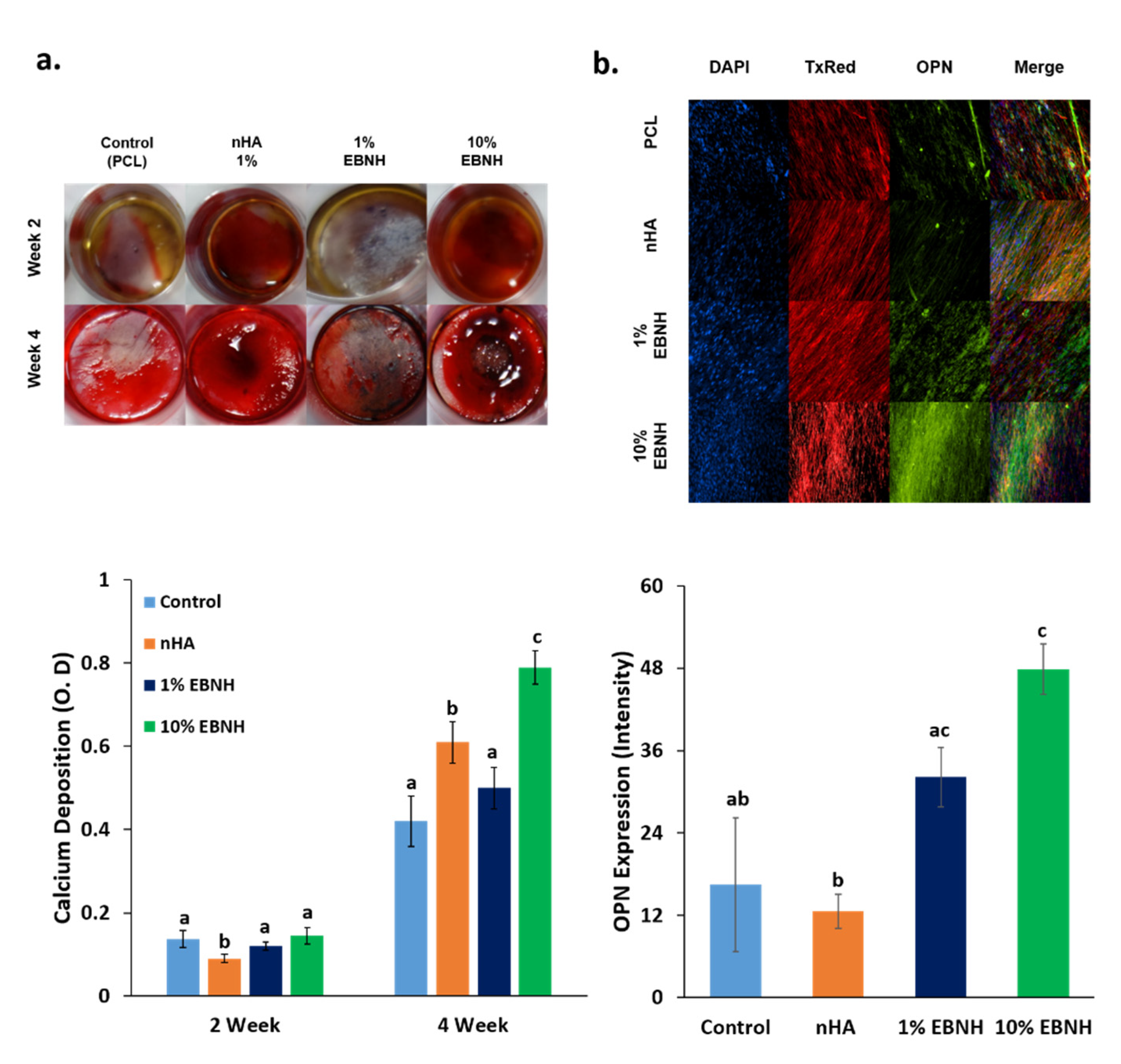 Polymers 13 00060 g003
