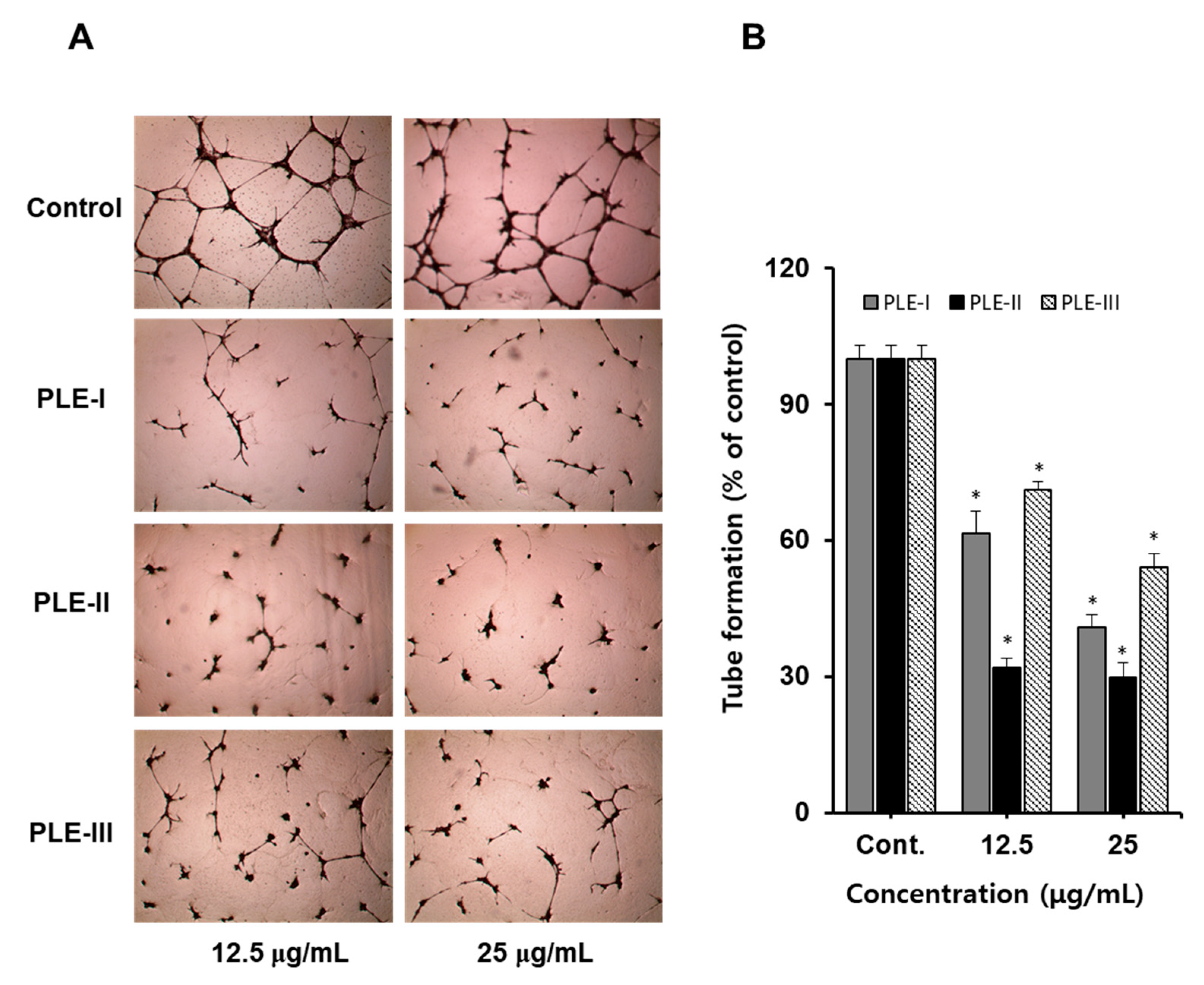 Polymers 13 00064 g003