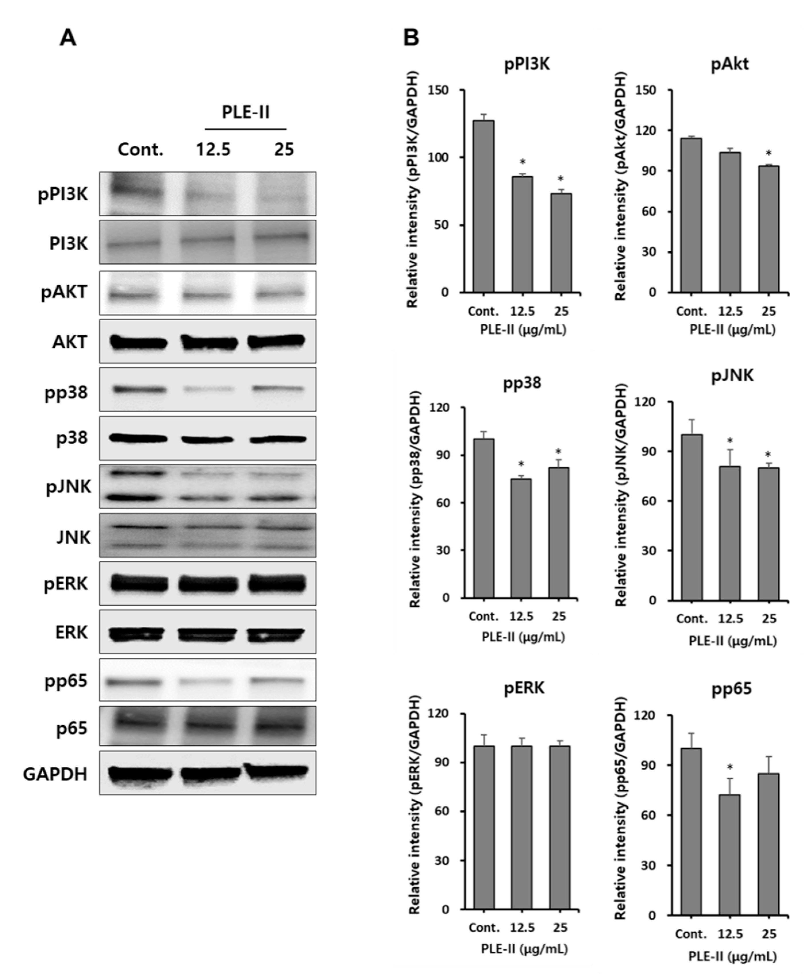 Polymers 13 00064 g005