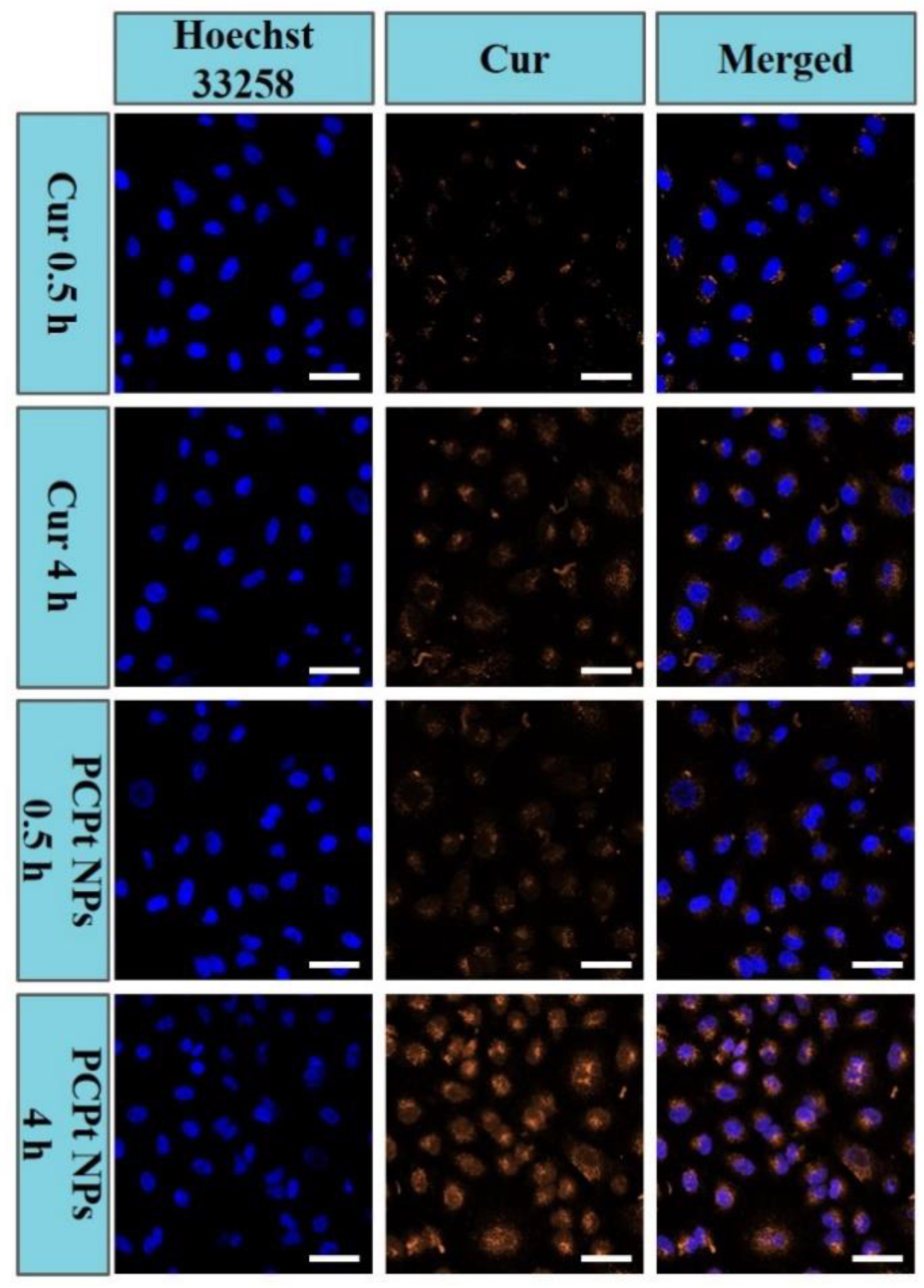 Polymers 13 00067 g006
