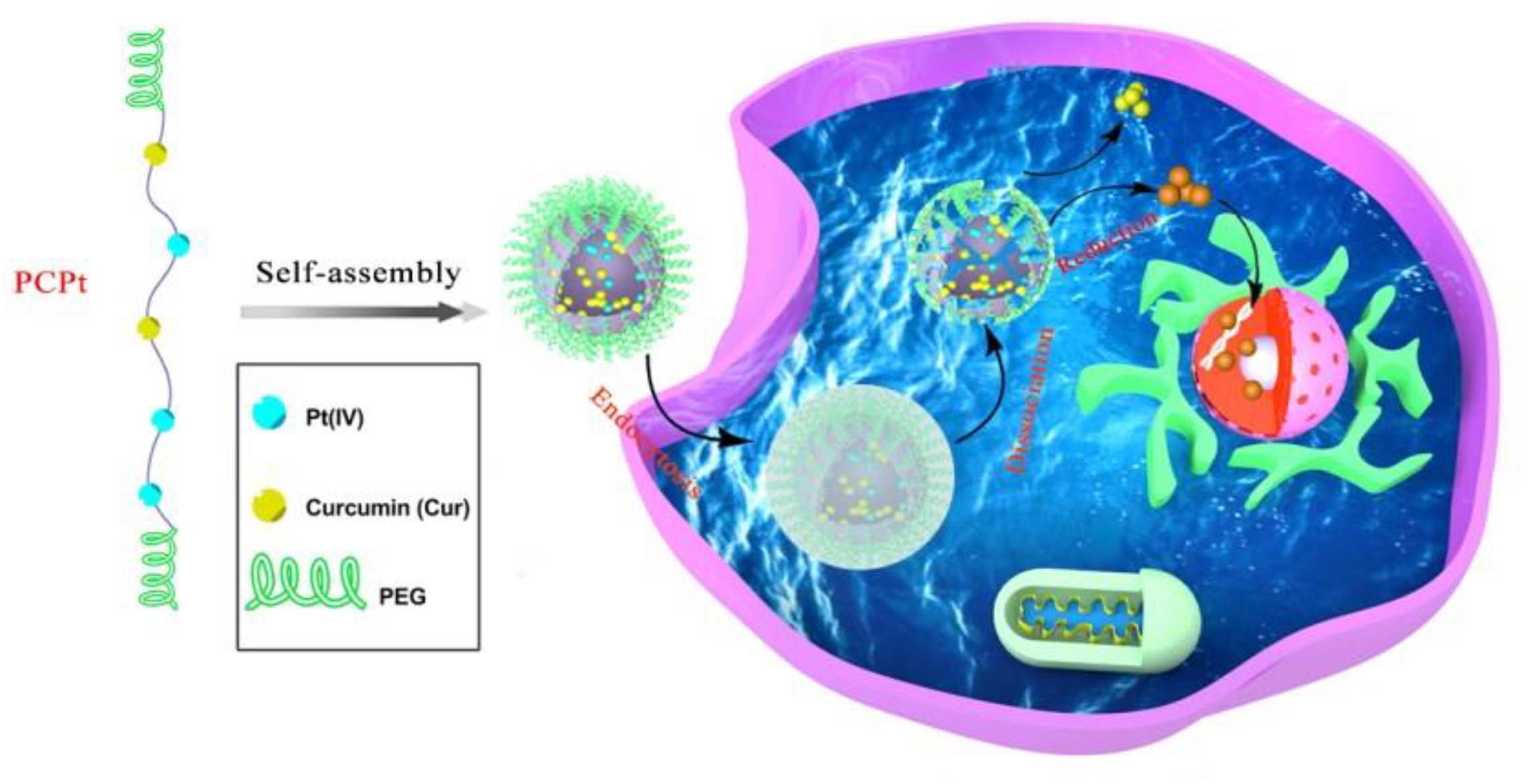 Polymers 13 00067 sch001