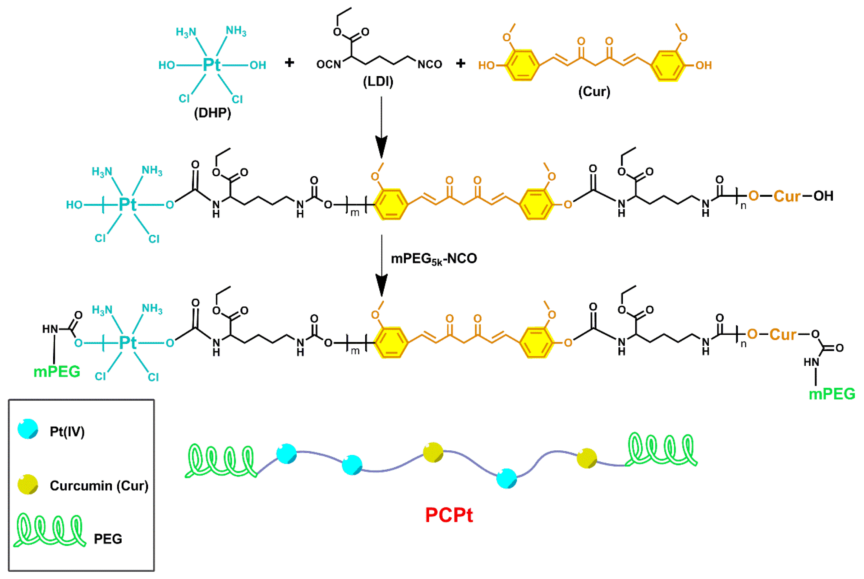 Polymers 13 00067 sch002