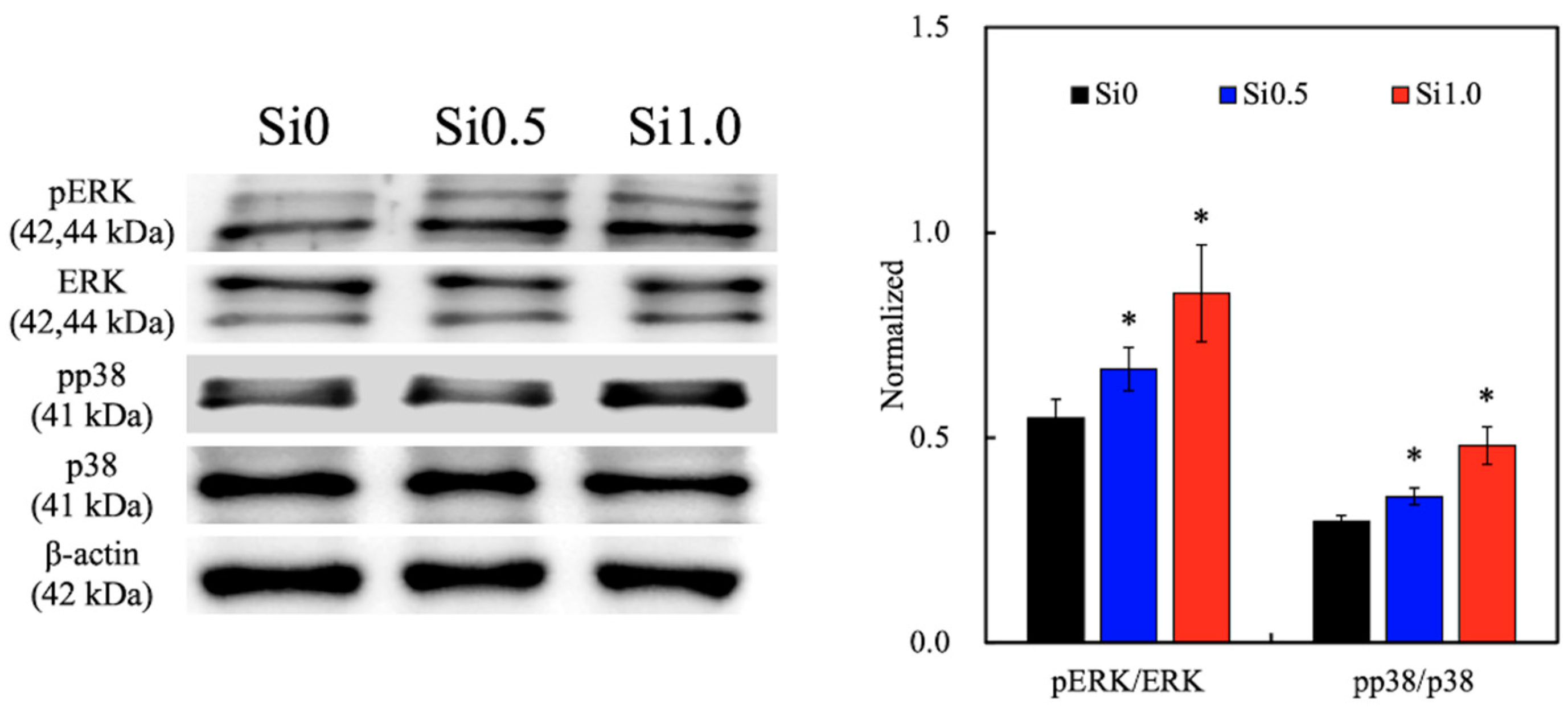 Polymers 13 00070 g007