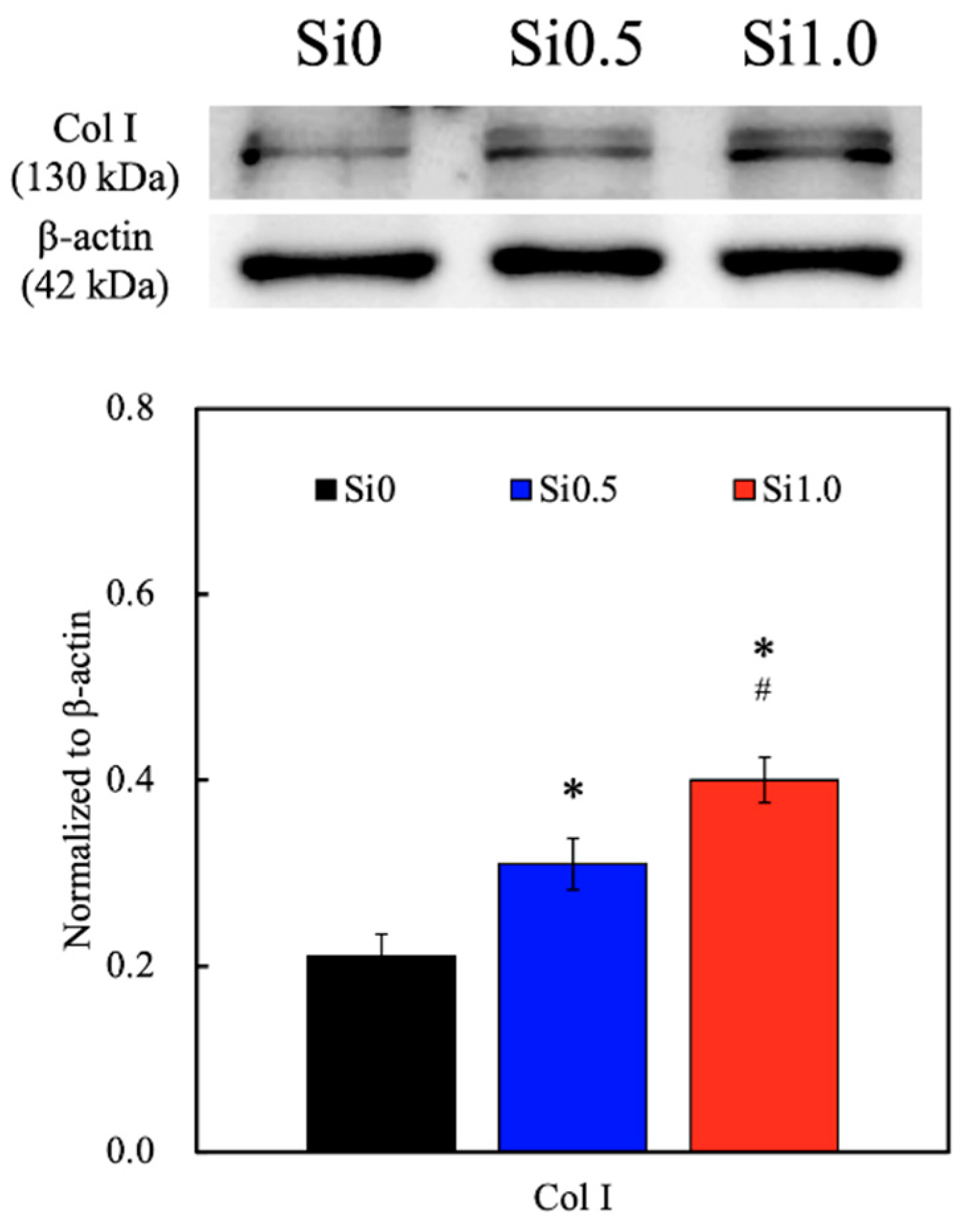 Polymers 13 00070 g008