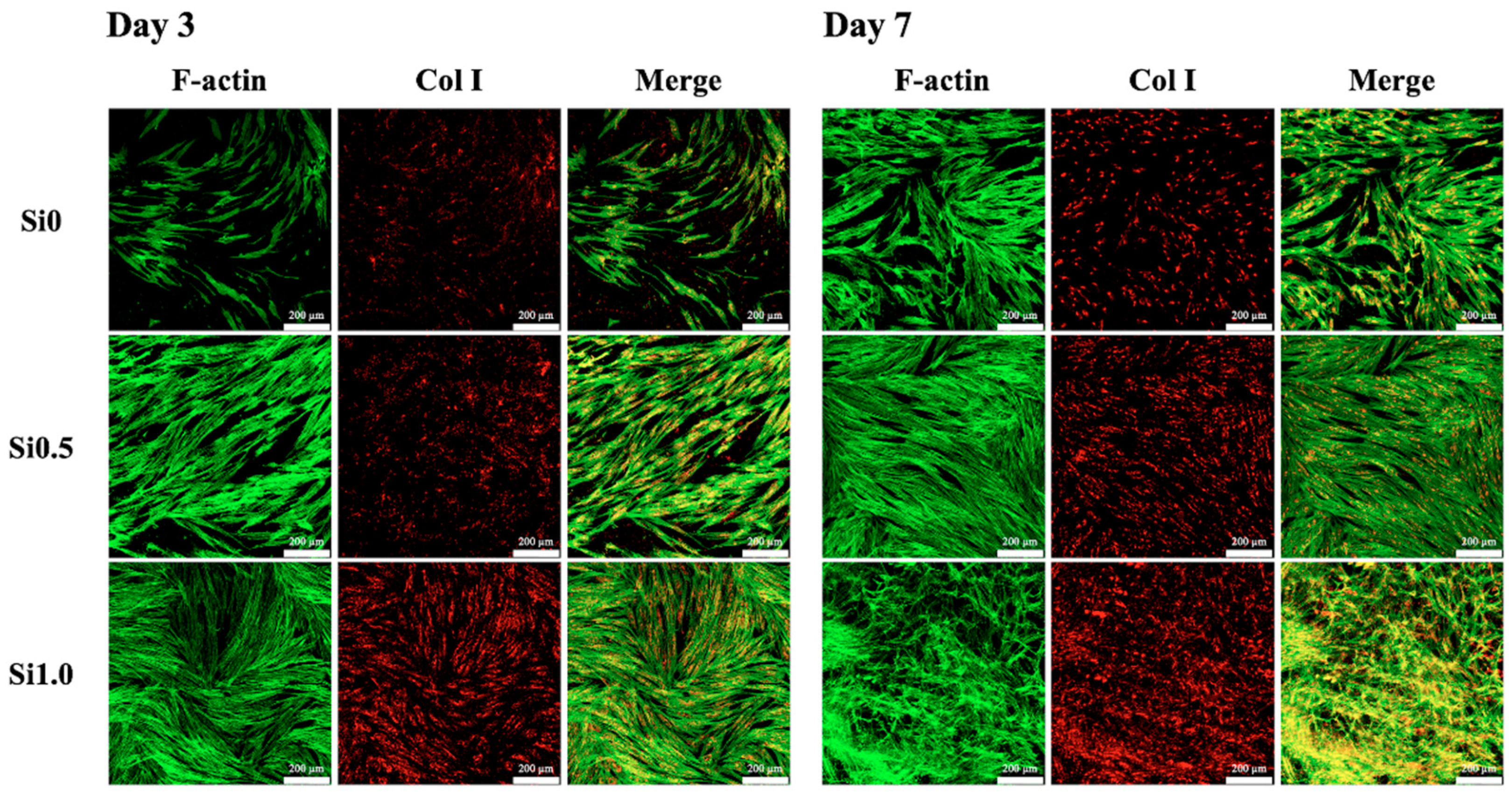 Polymers 13 00070 g009