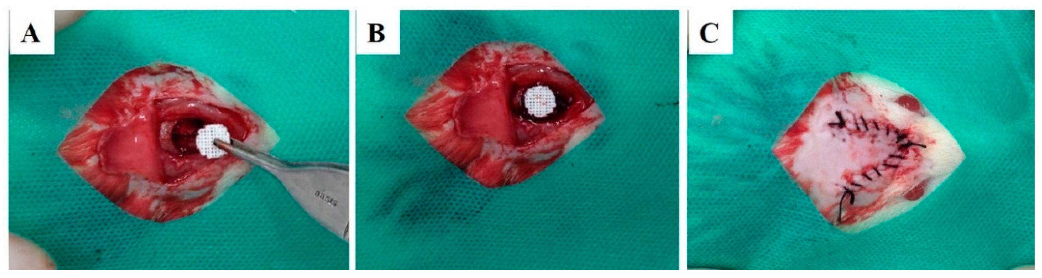 Polymers 13 00074 g002