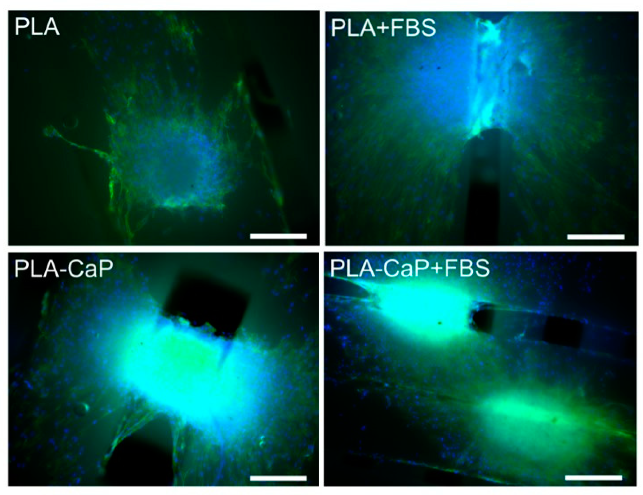 Polymers 13 00074 g007