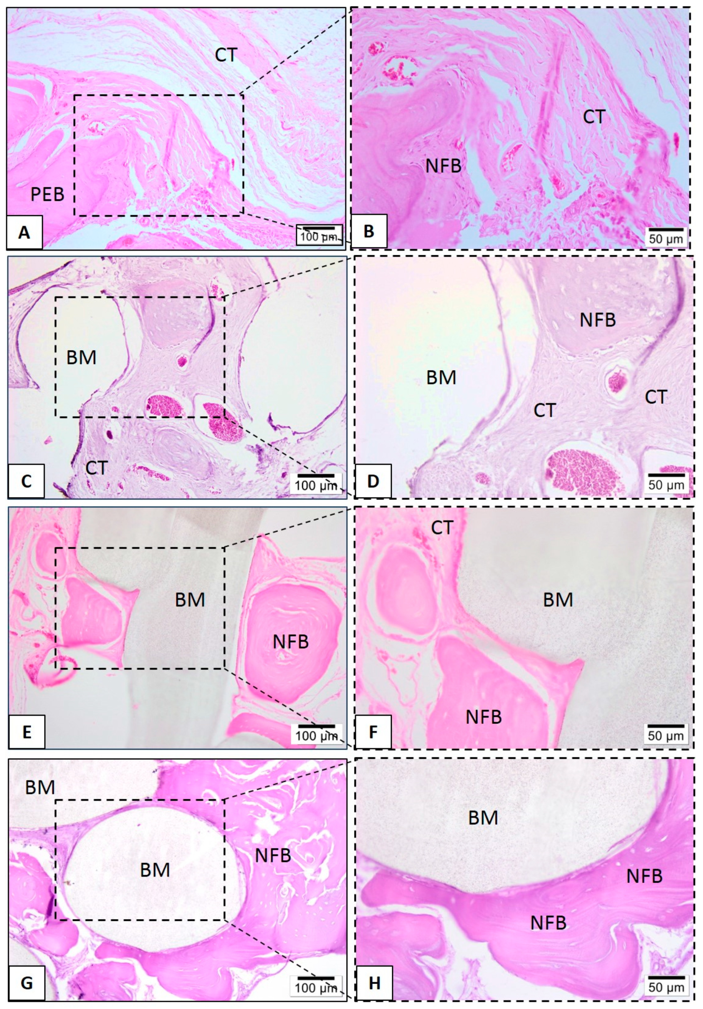 Polymers 13 00074 g012