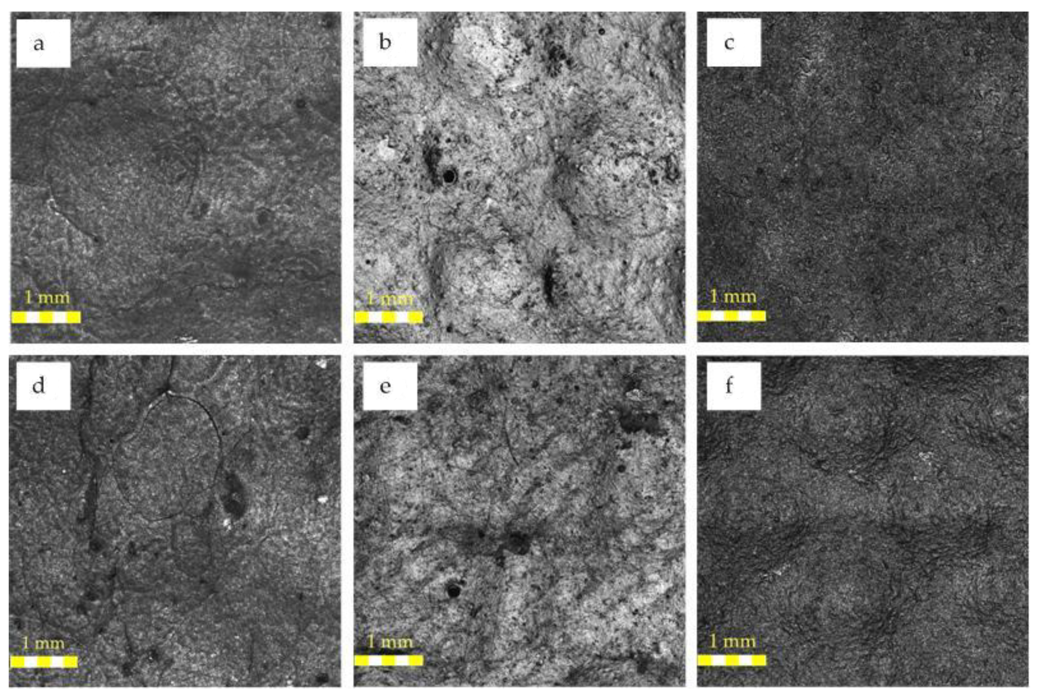 Polymers 13 00082 g008
