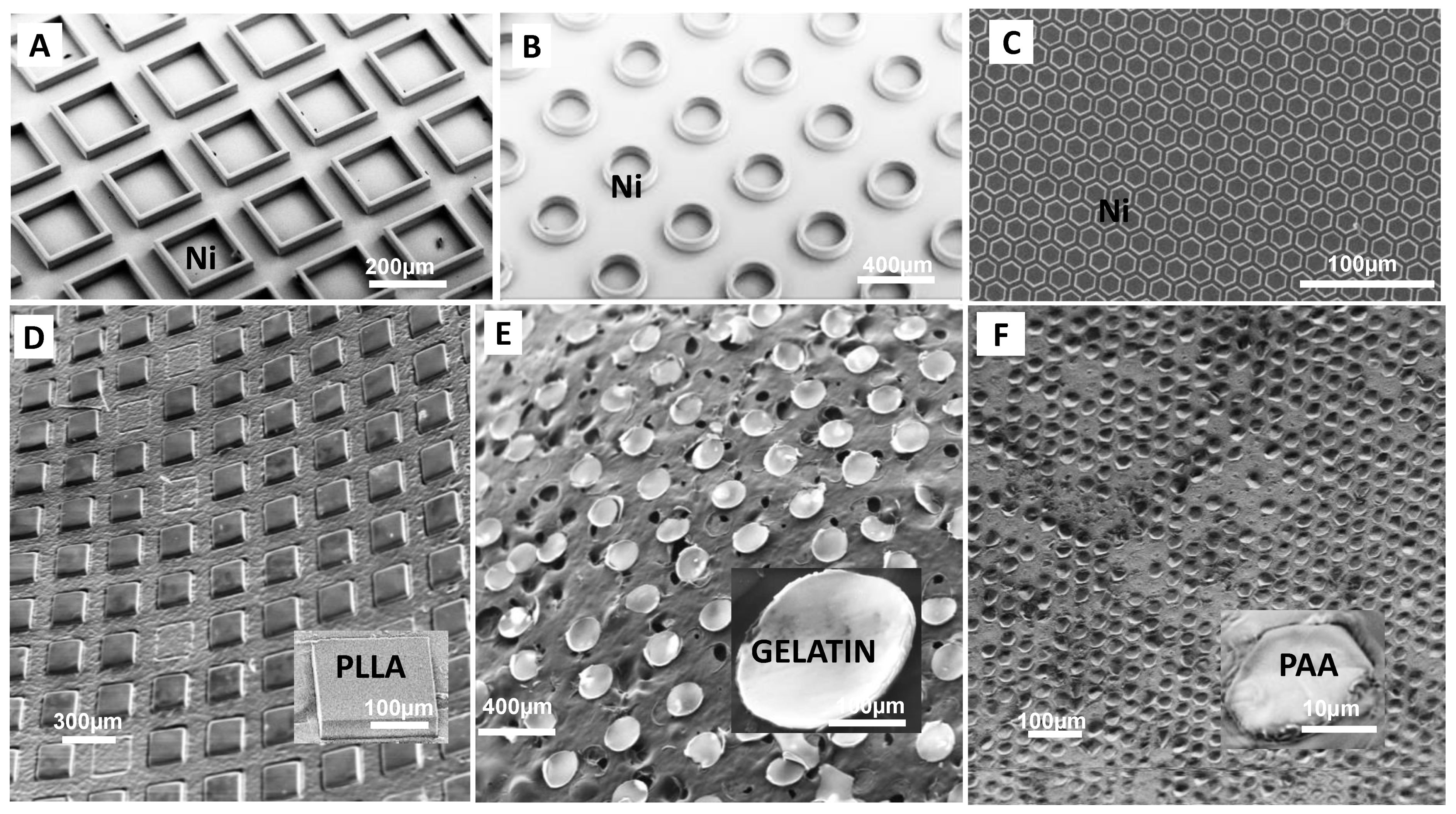 Polymers 13 00083 g002