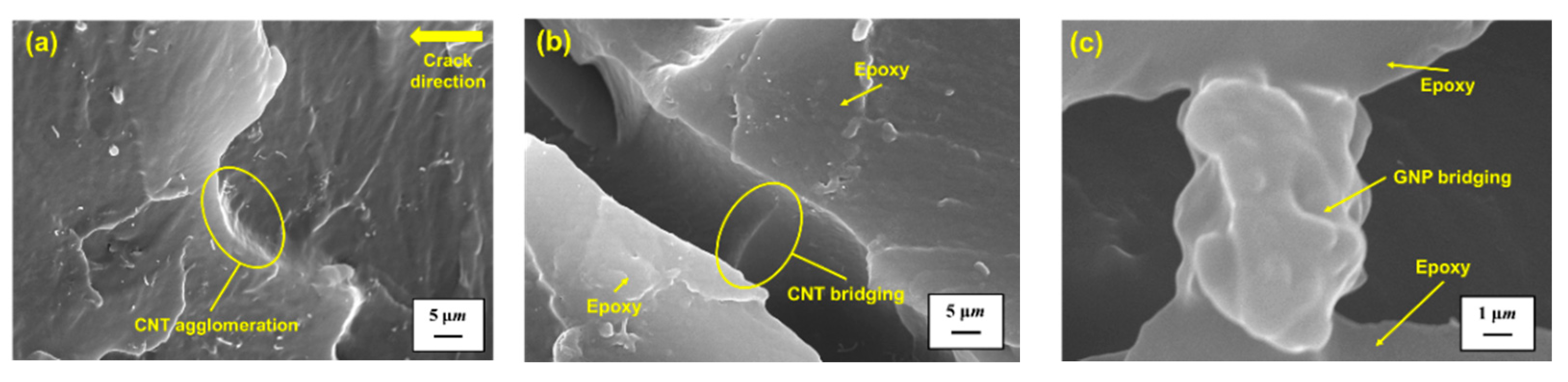 Polymers 13 00084 g011