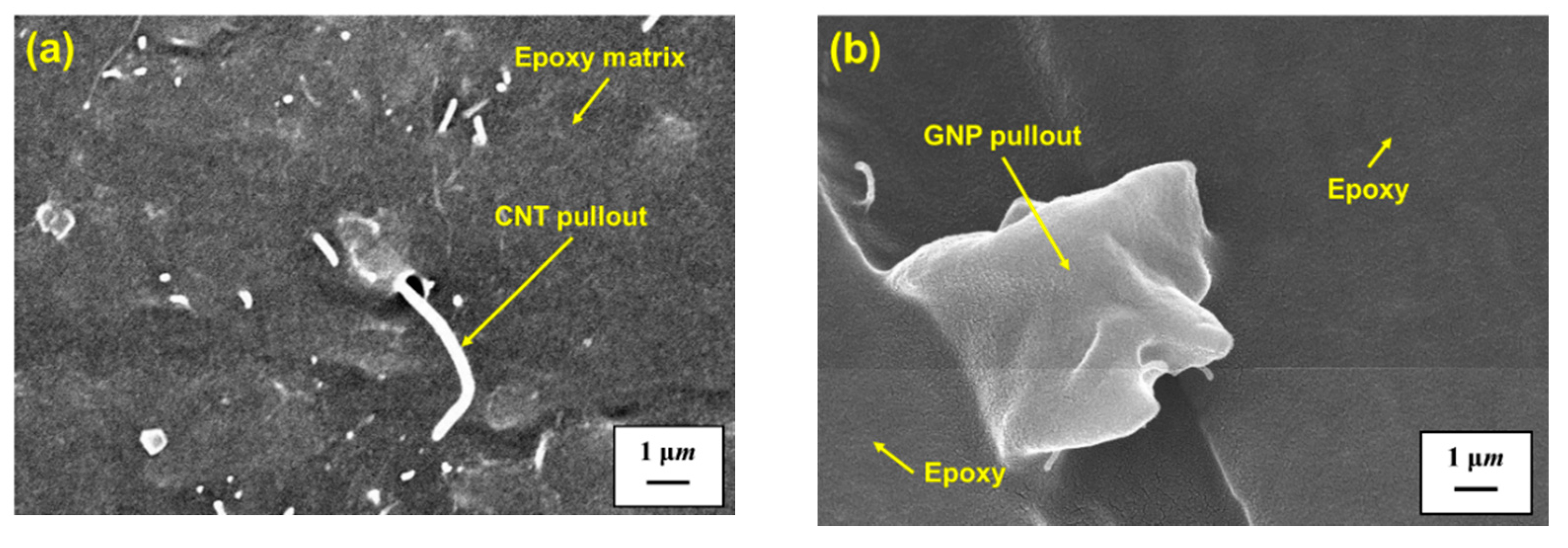 Polymers 13 00084 g012