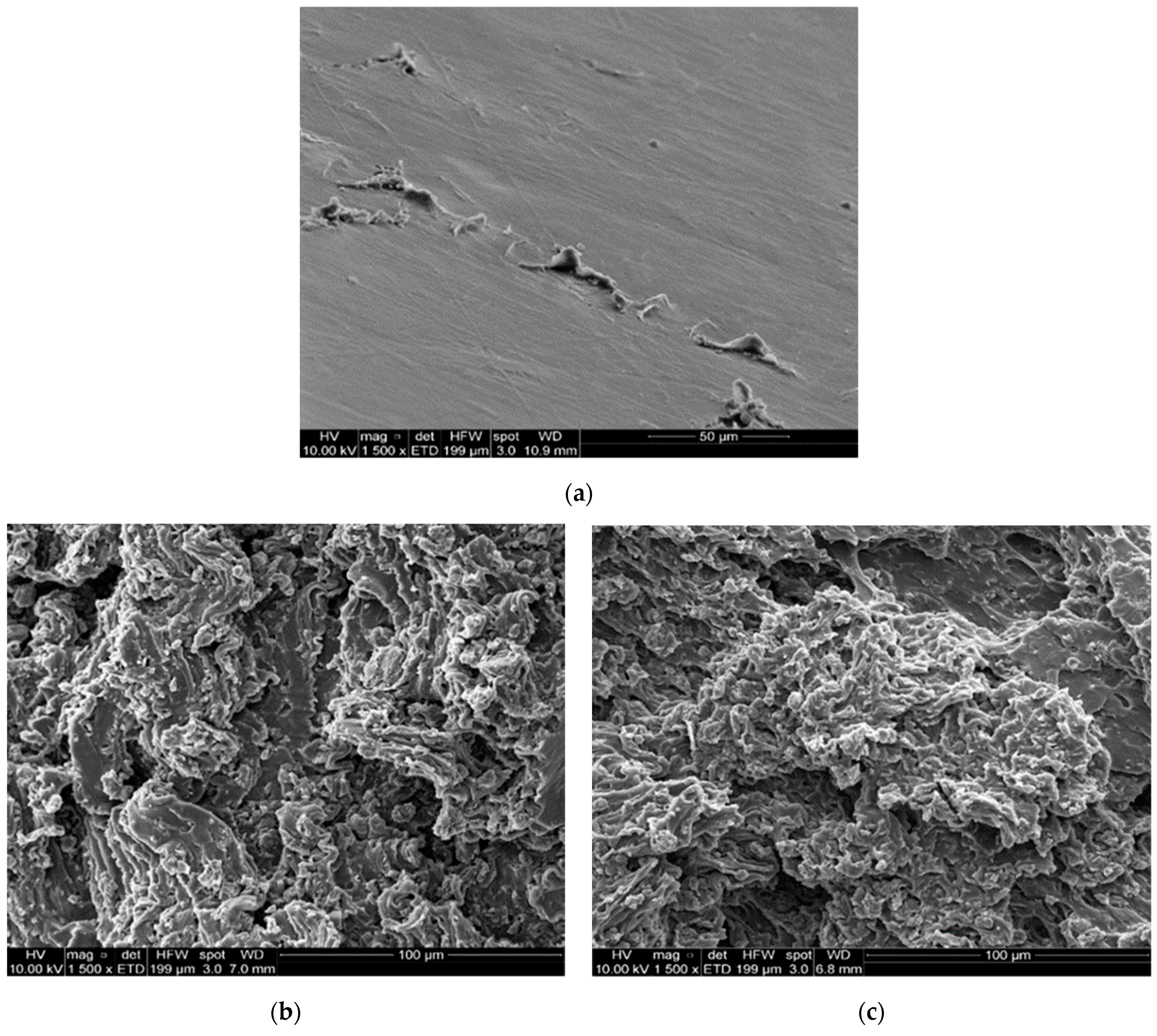 Polymers 13 00085 g005