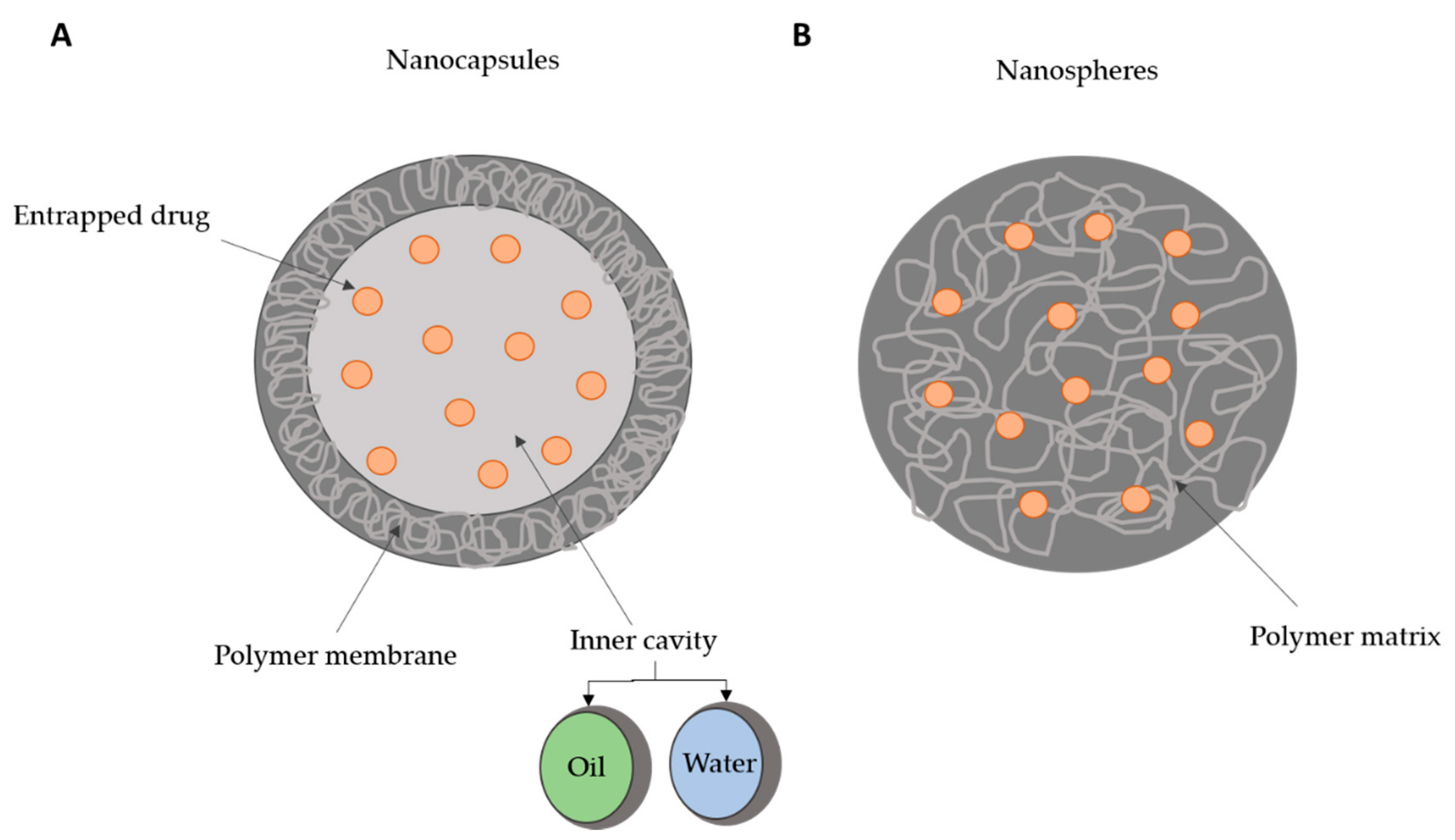 Polymers 13 00088 g001 Polymers 13 00088 g001