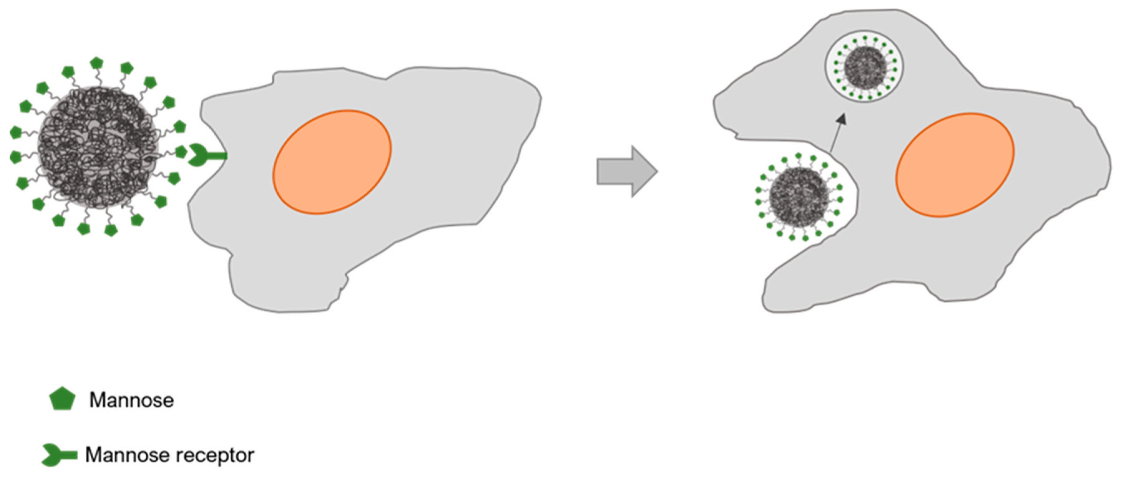 Polymers 13 00088 g004 Polymers 13 00088 g004