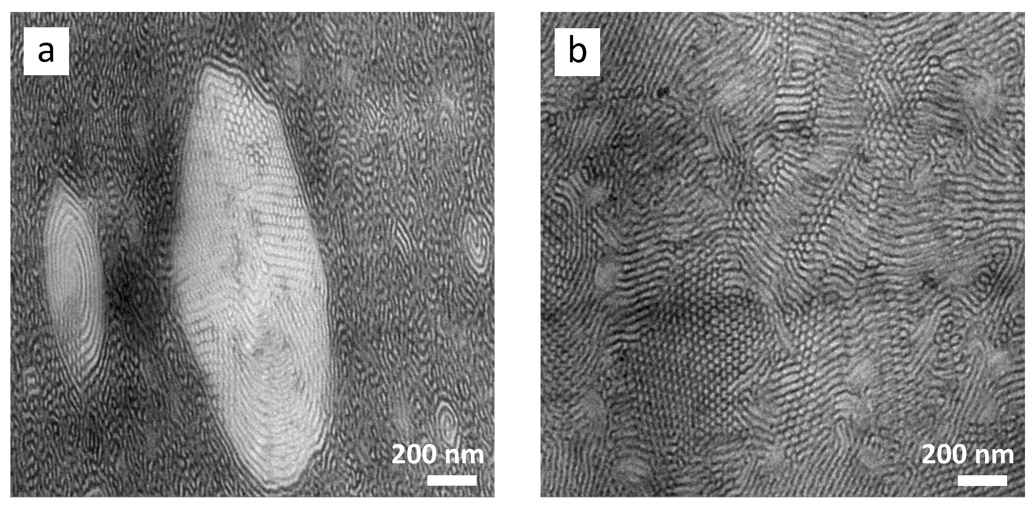 Polymers 13 00096 g006