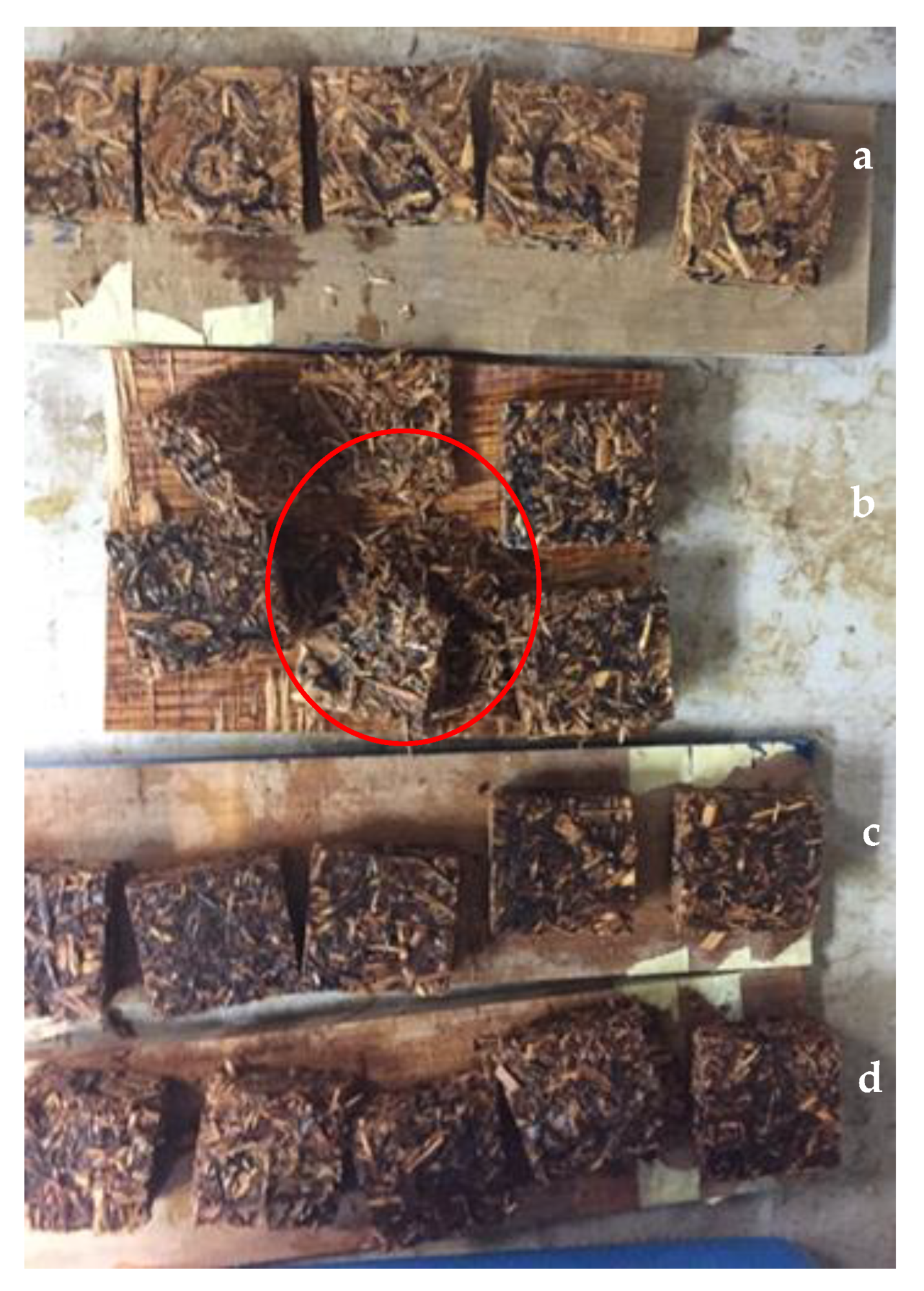 Polymers 13 00098 g002