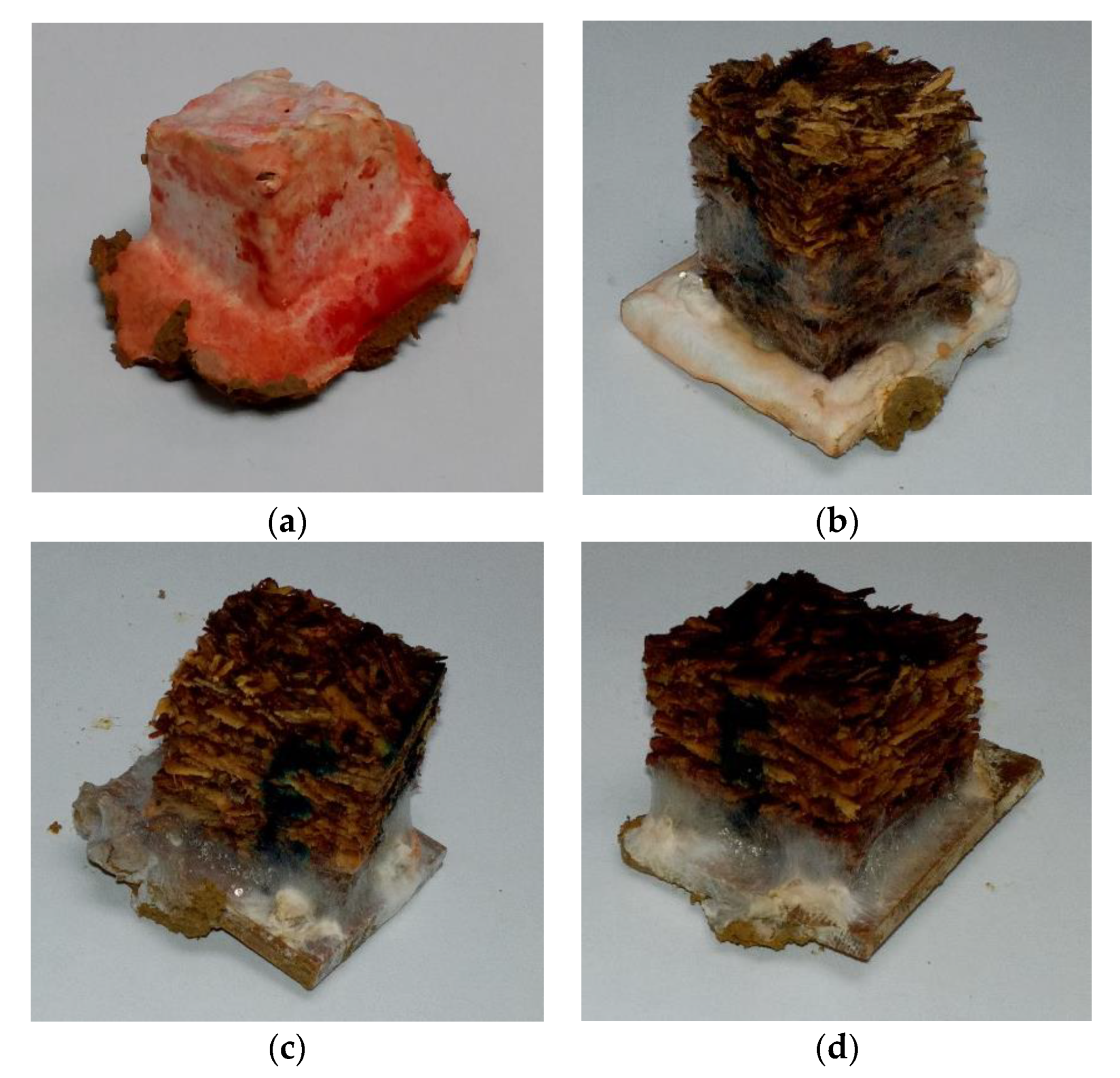 Polymers 13 00098 g003