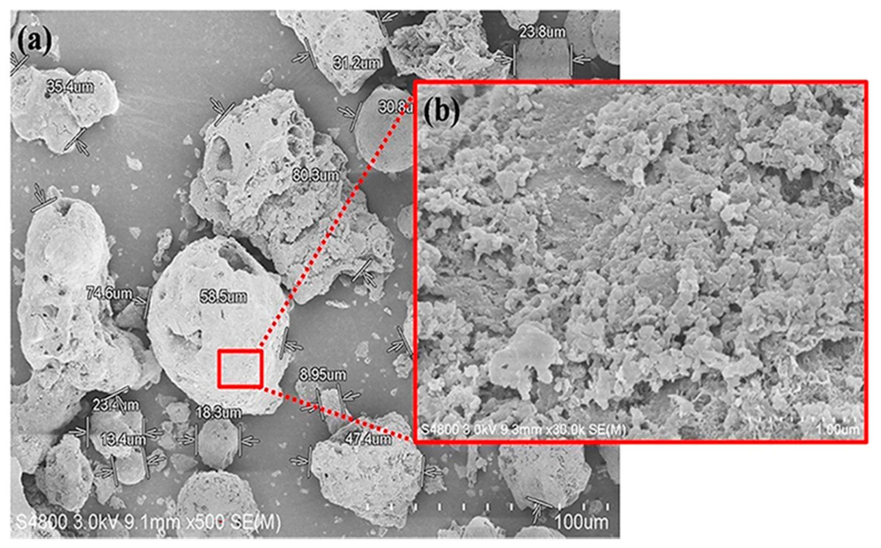 Polymers 13 00100 g001