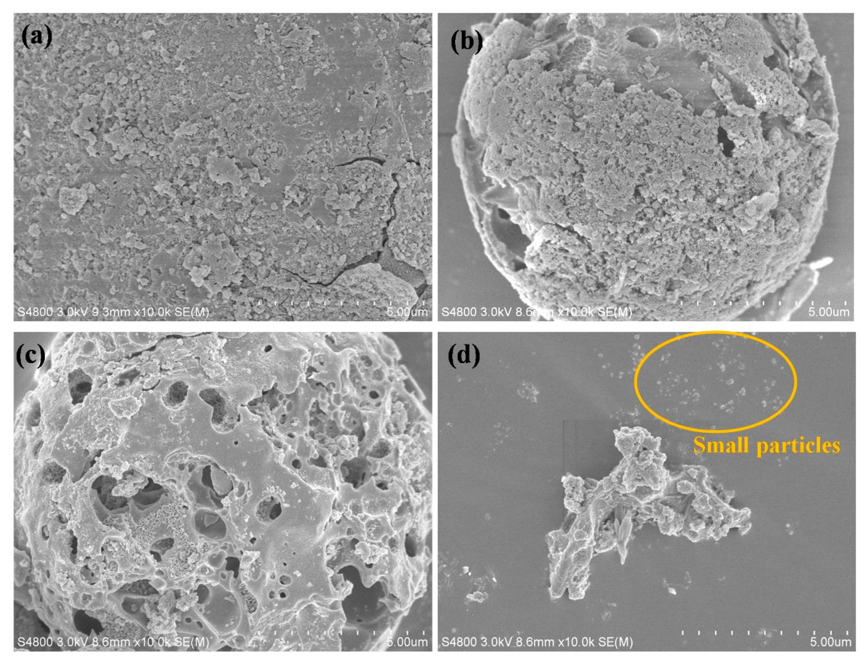Polymers 13 00100 g005