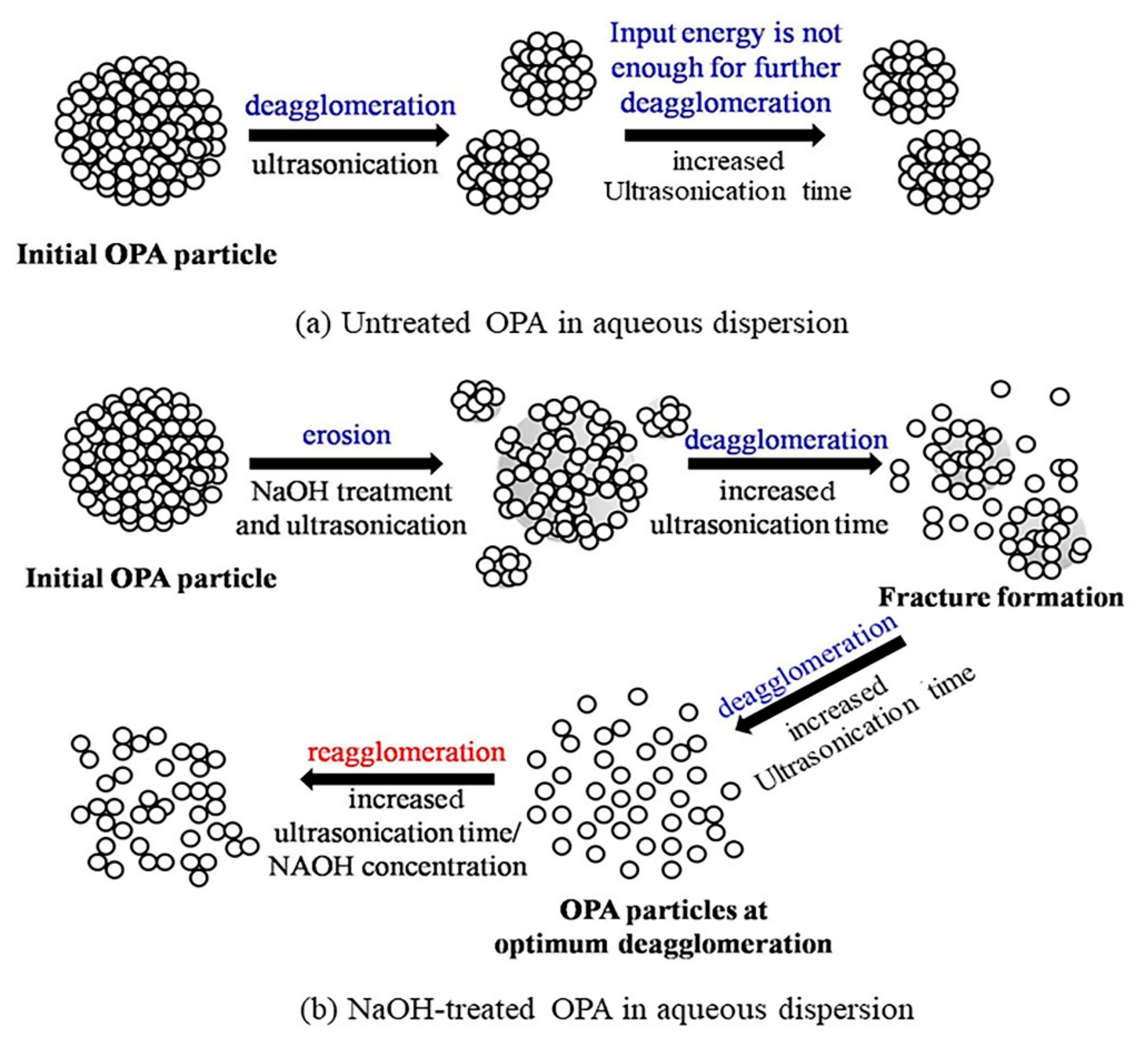 Polymers 13 00100 g006