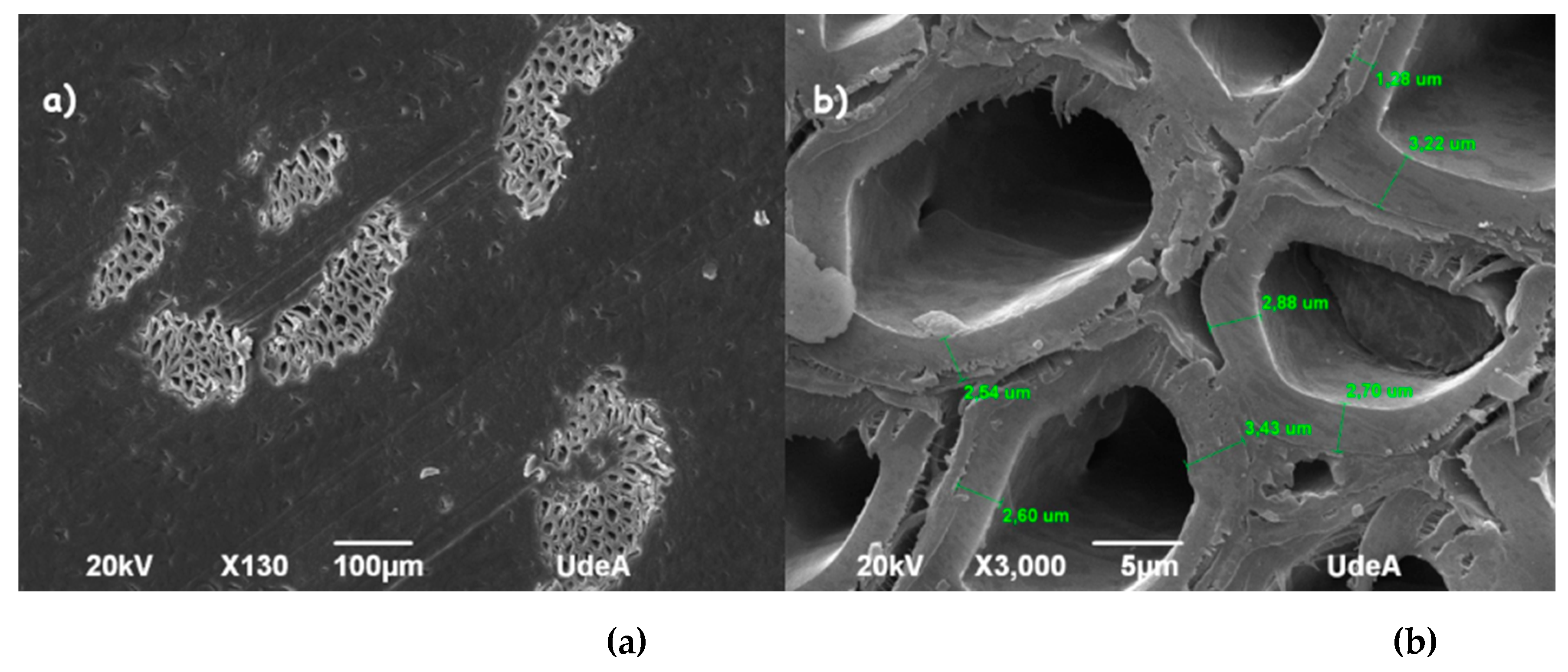 Polymers 13 00101 g003