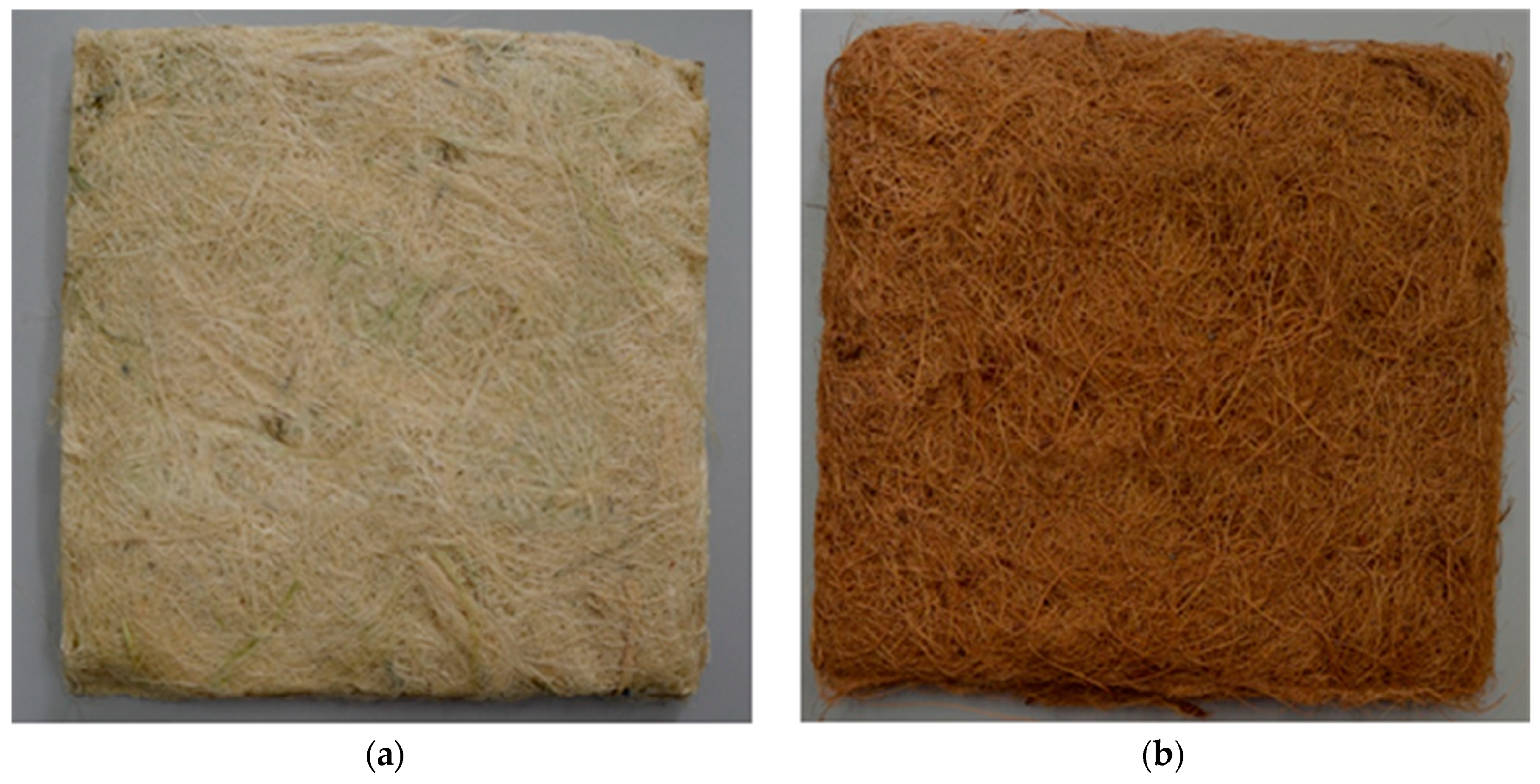 Polymers 13 00101 g006