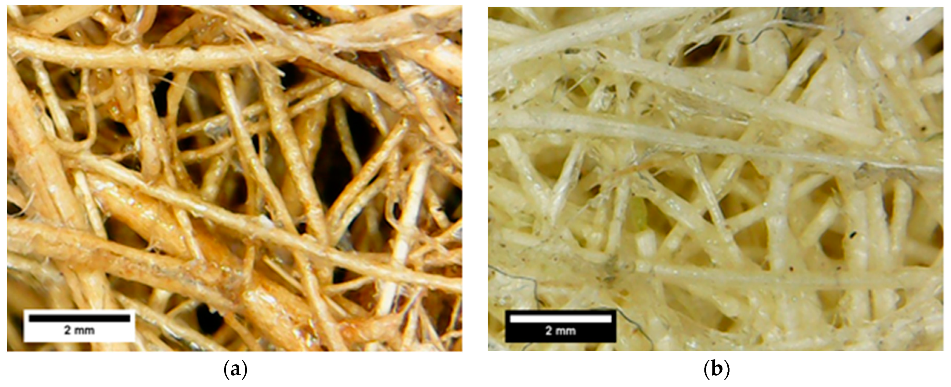Polymers 13 00101 g007