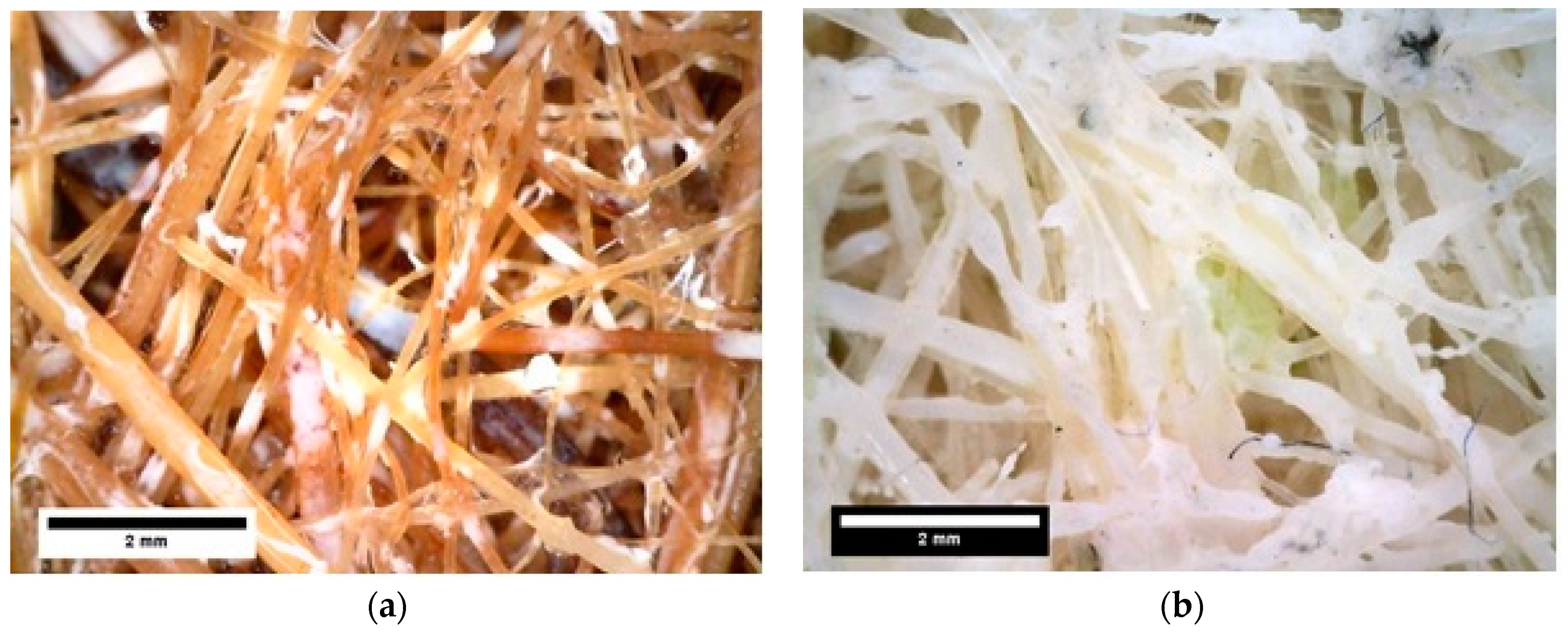 Polymers 13 00101 g008