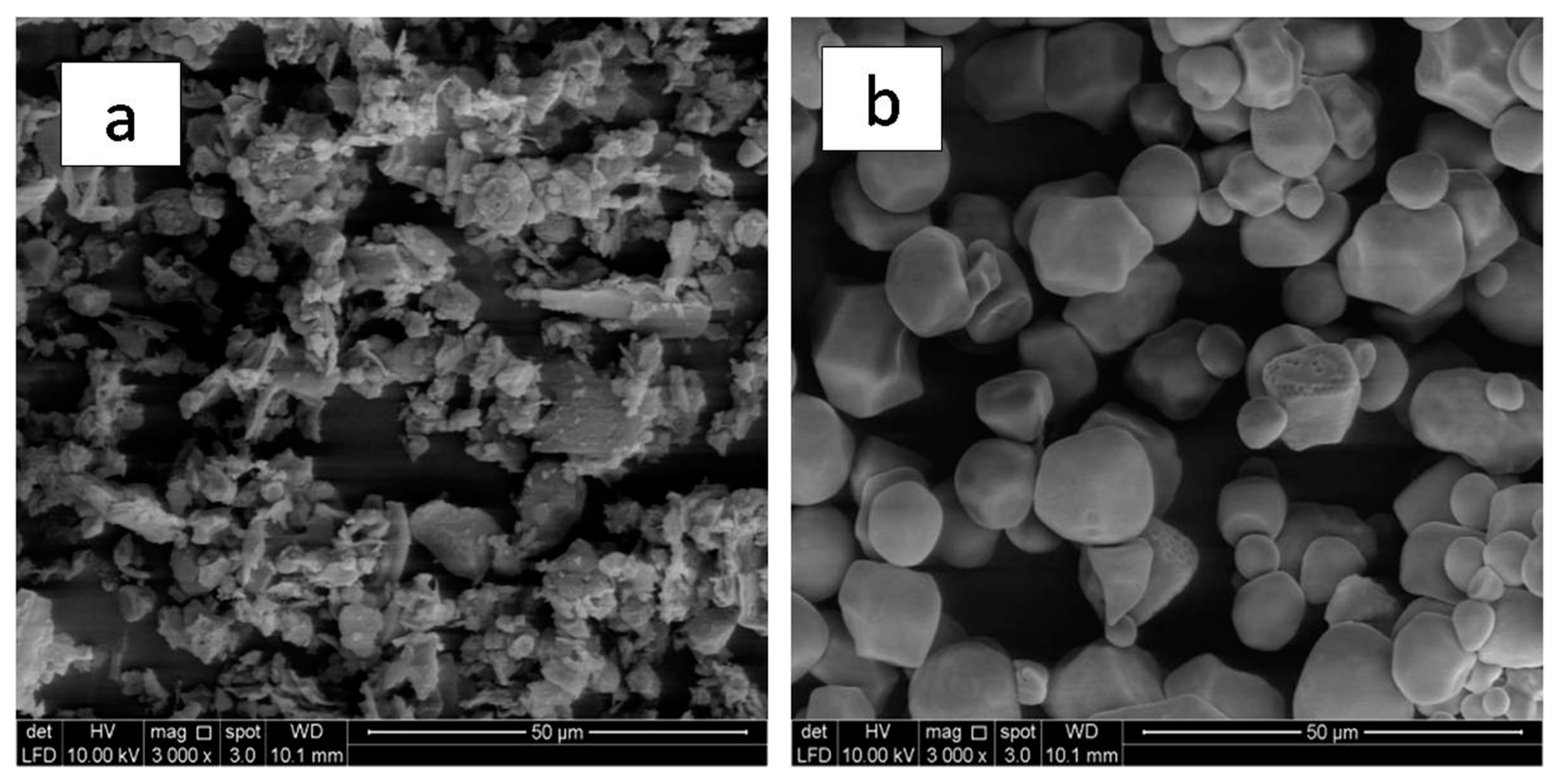 Polymers 13 00104 g005