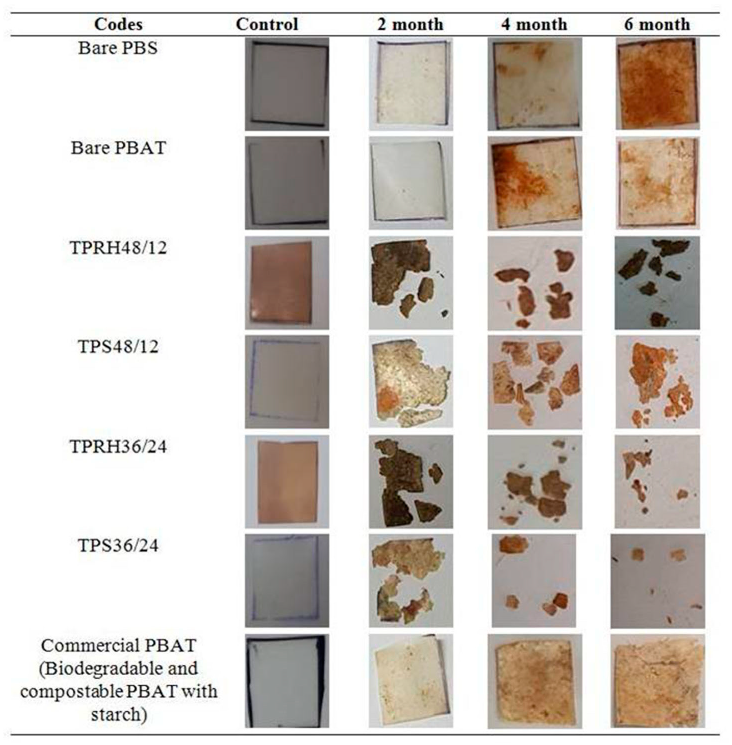 Polymers 13 00104 g008