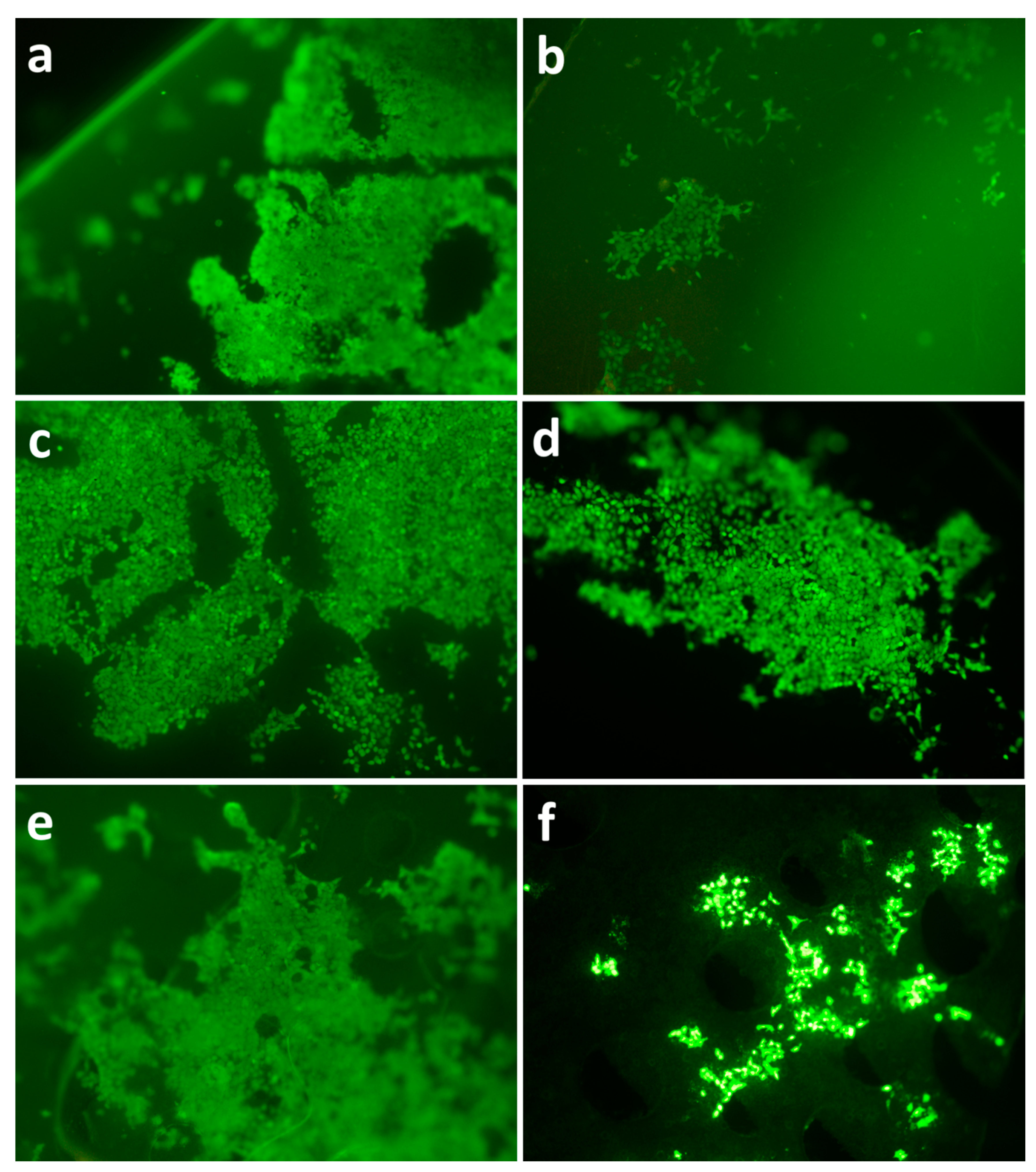 Polymers 13 00108 g012