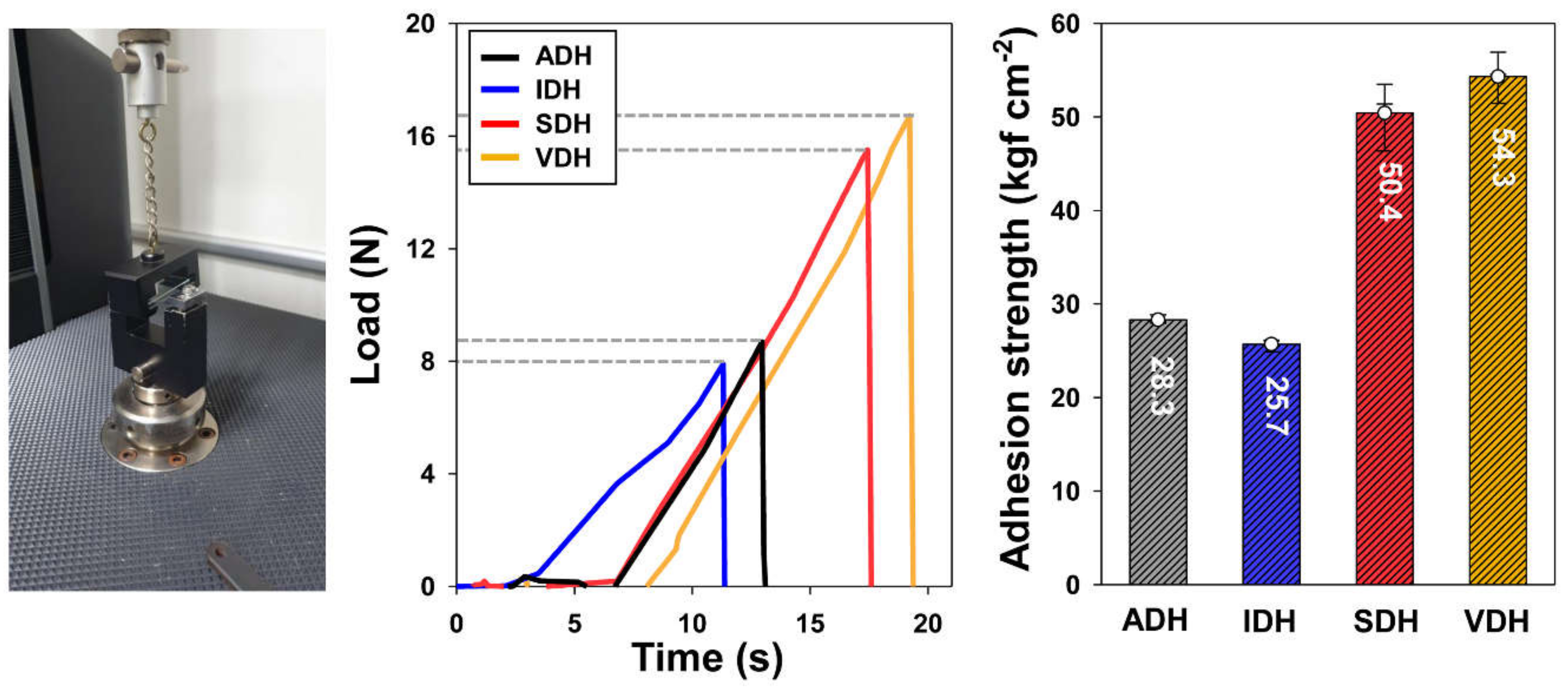 Polymers 13 00109 g005
