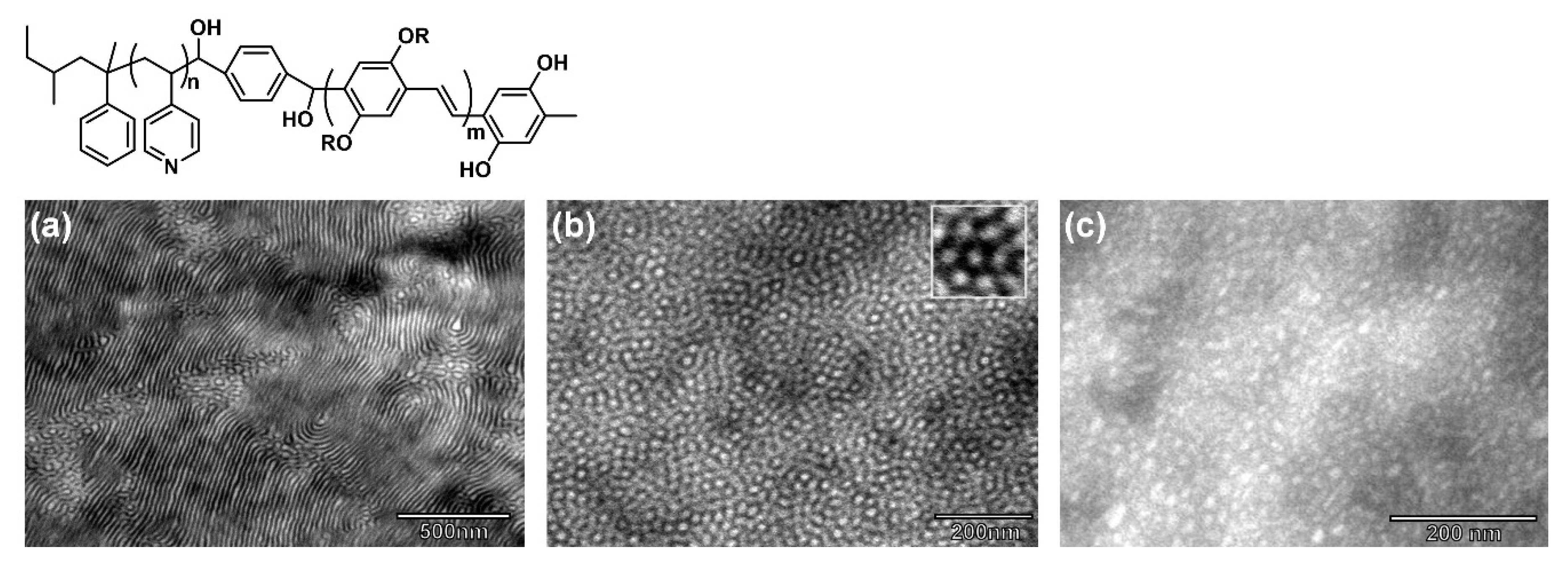 Polymers 13 00110 g011 Polymers 13 00110 g011