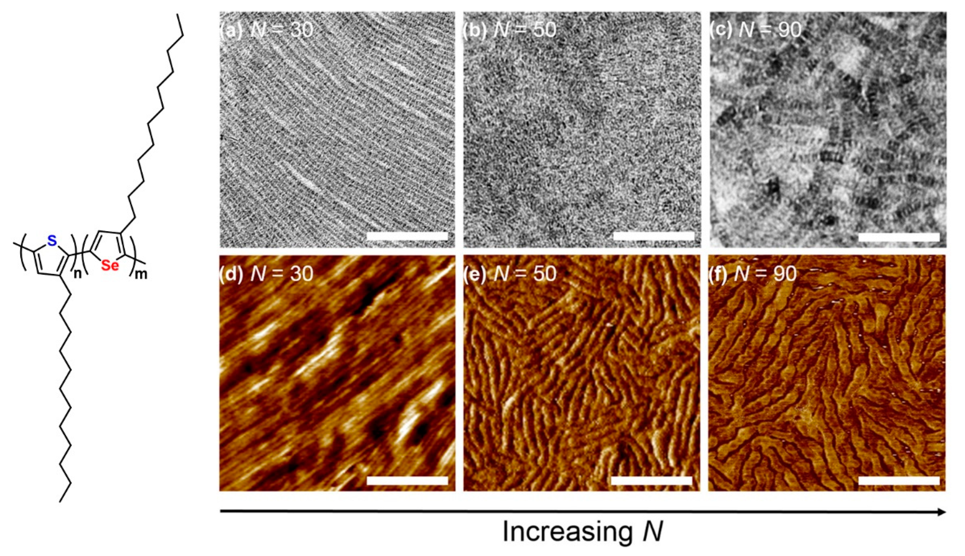 Polymers 13 00110 g012 Polymers 13 00110 g012