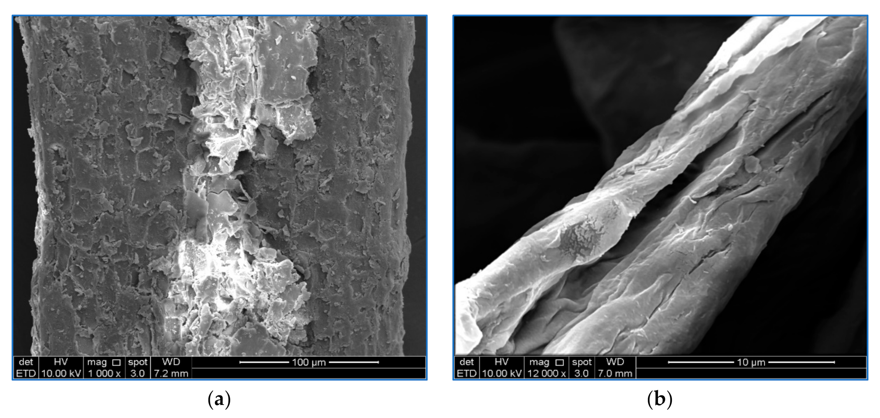 Polymers 13 00112 g003a