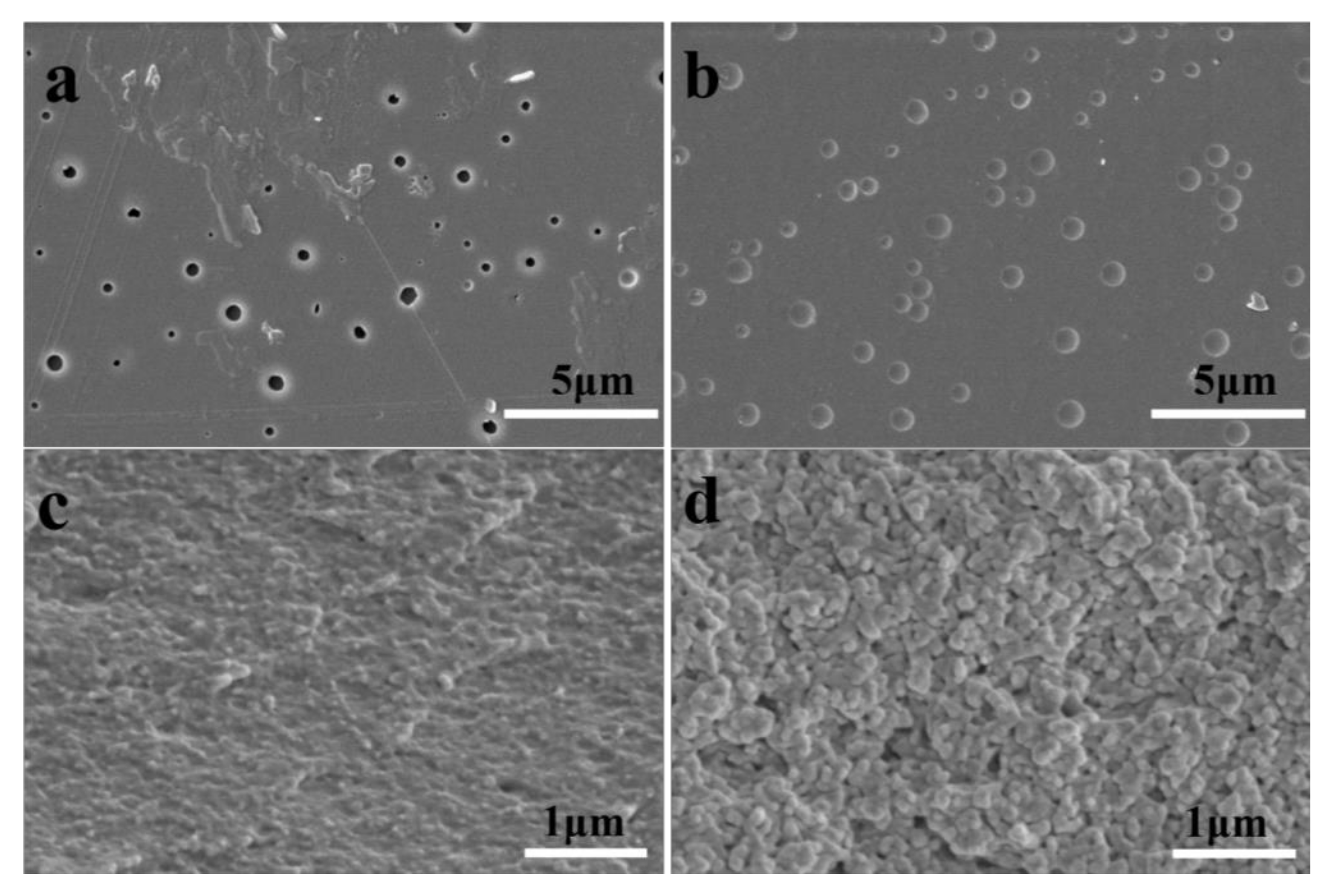 Polymers 13 00113 g004