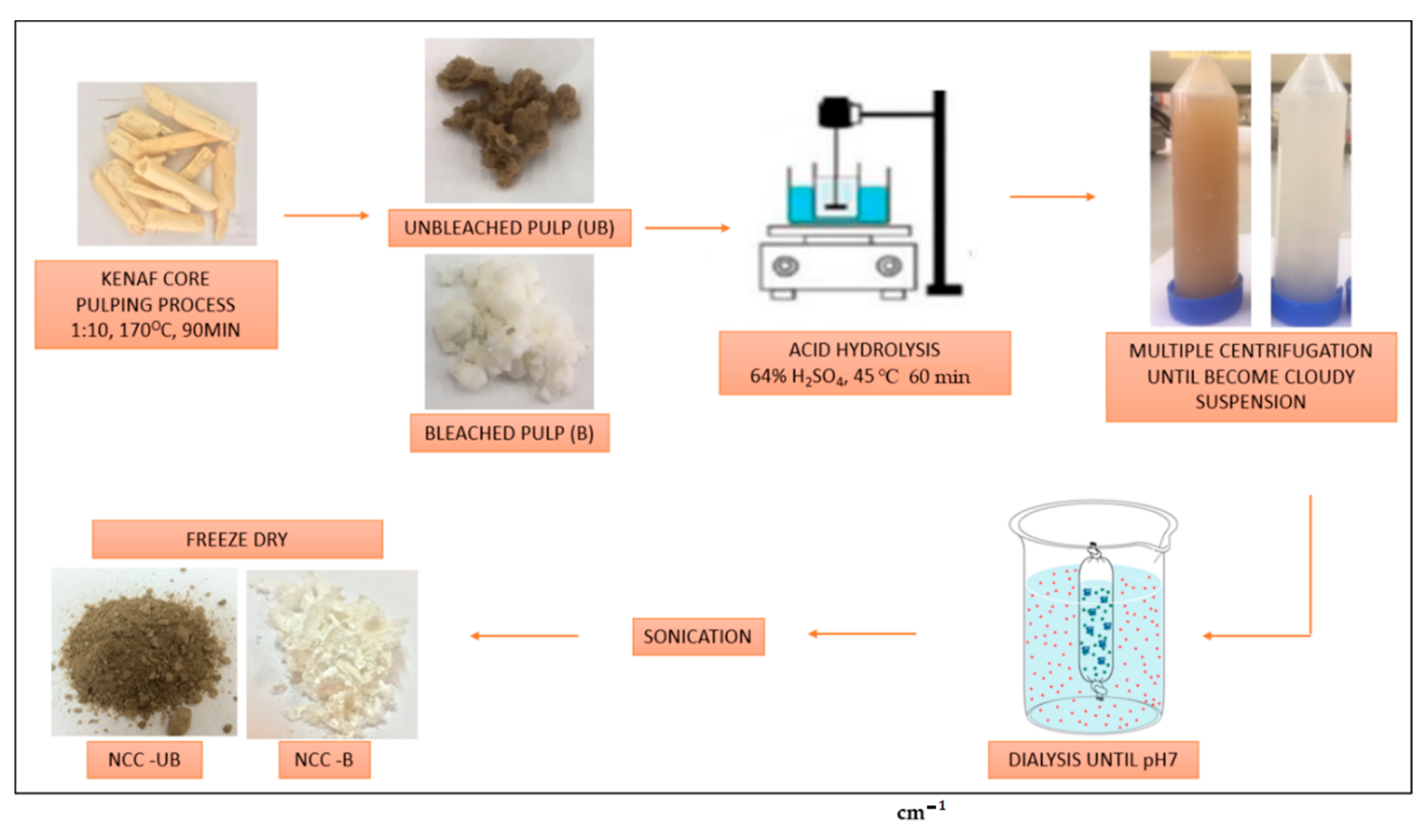 Polymers 13 00116 g001