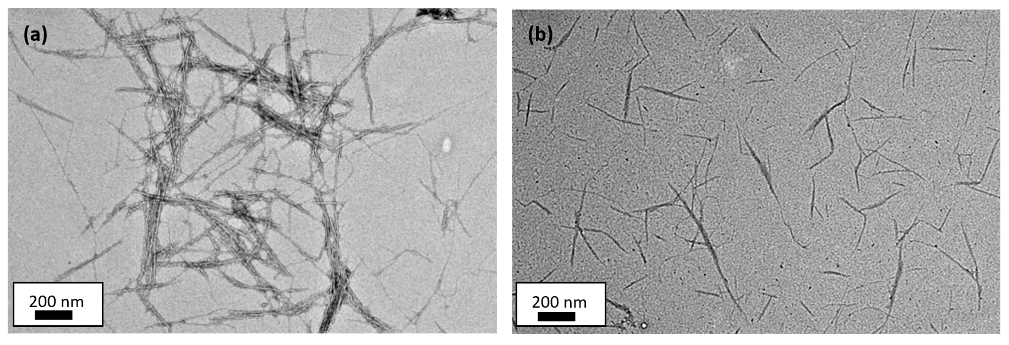 Polymers 13 00116 g002