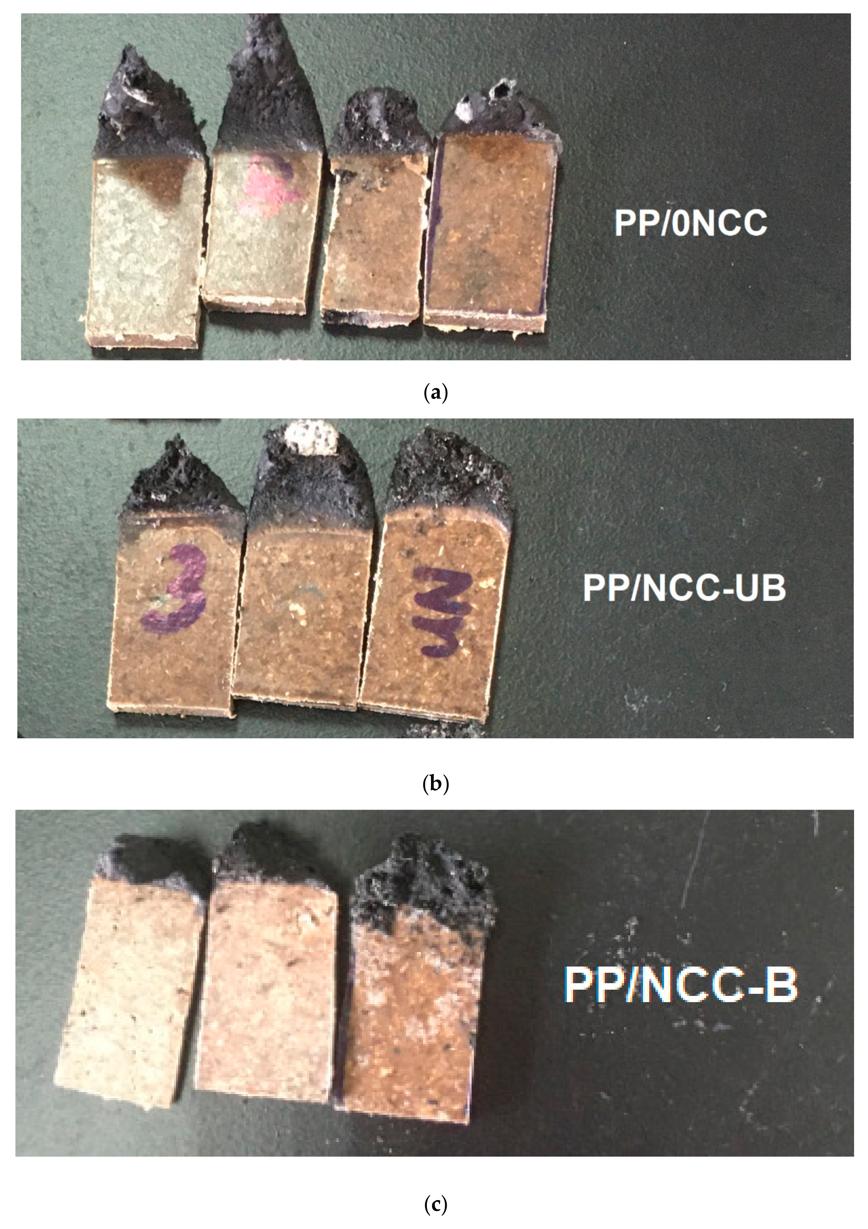 Polymers 13 00116 g010