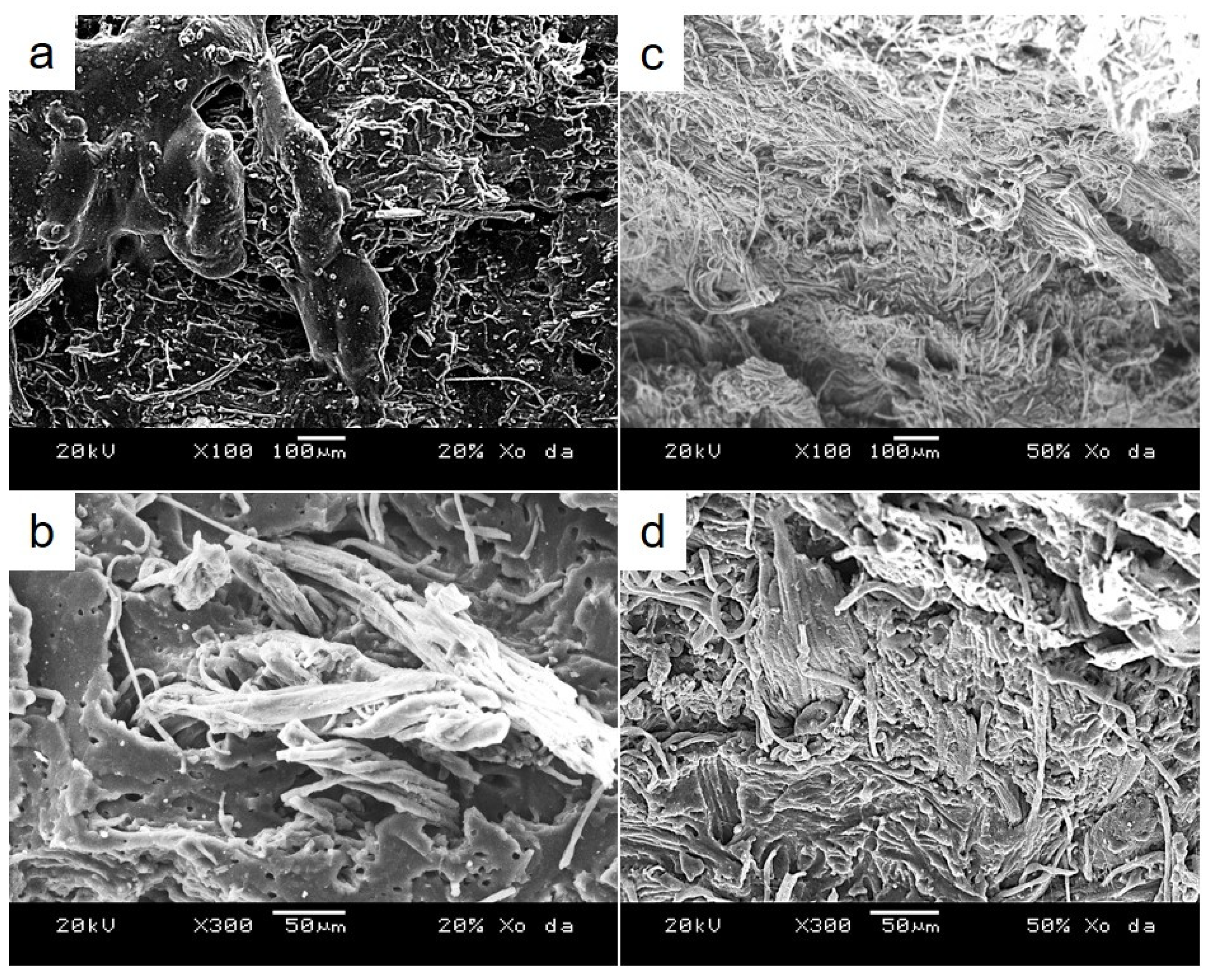 Polymers 13 00117 g006