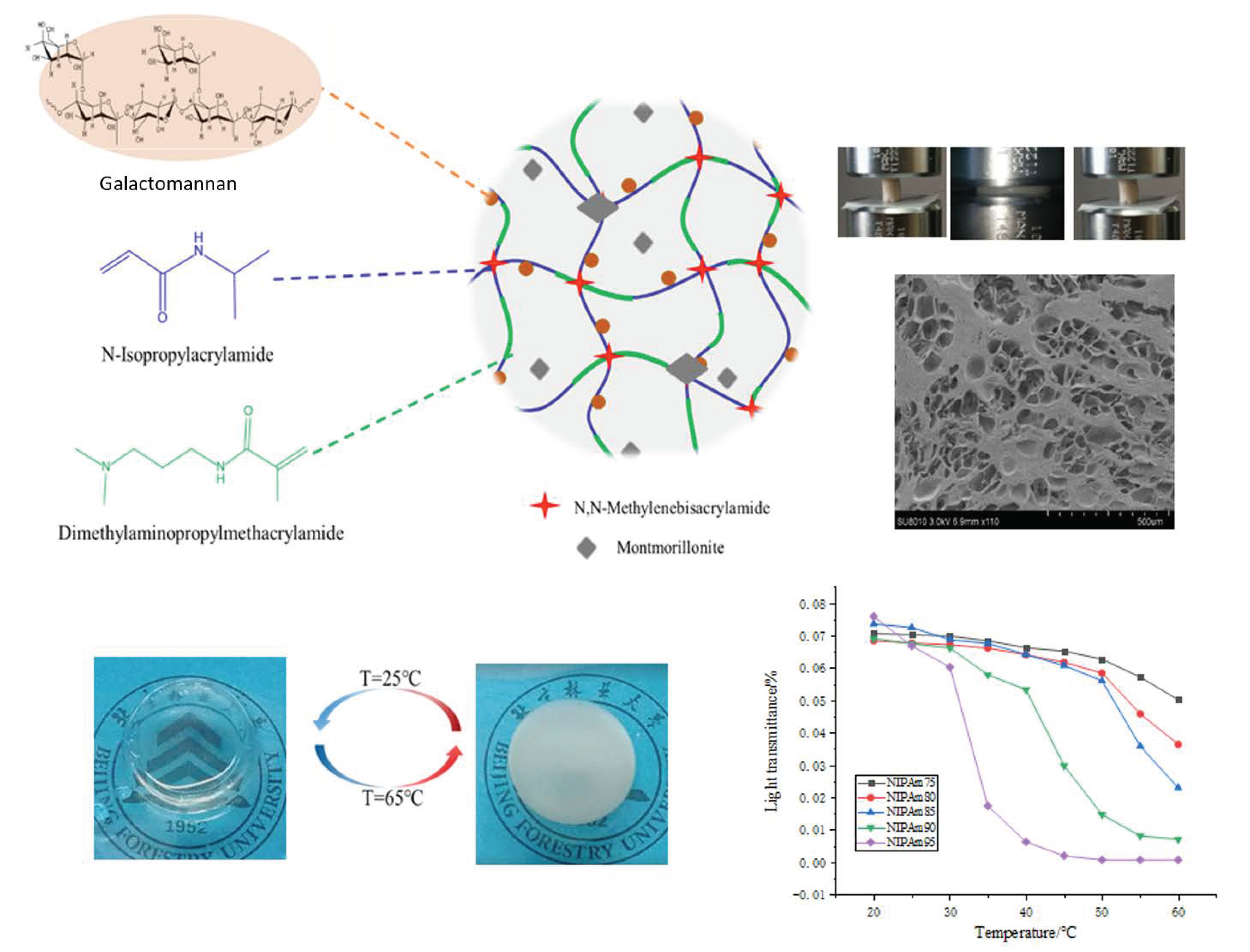 Polymers 13 00119 g001