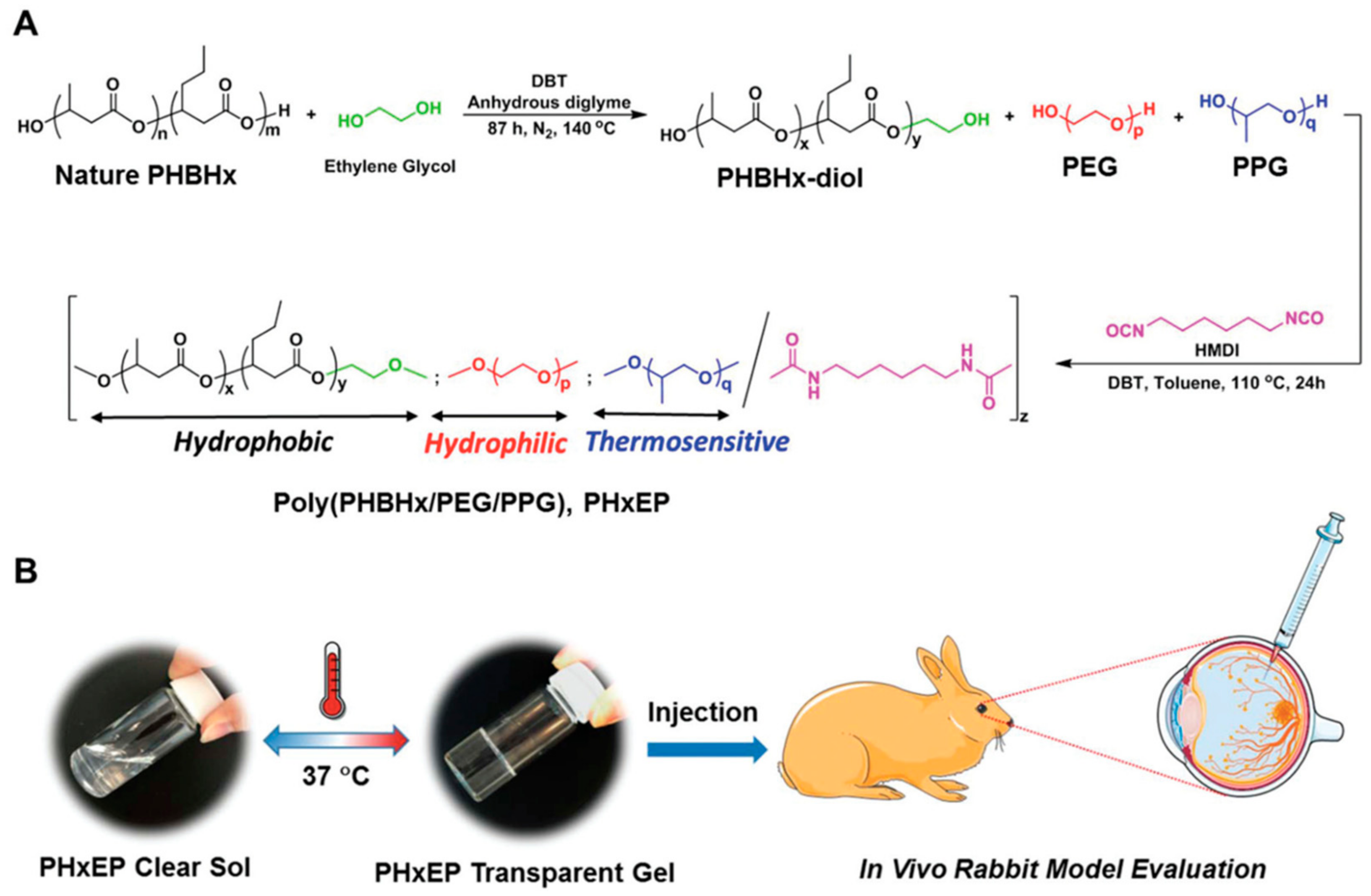 Polymers 13 00121 g004