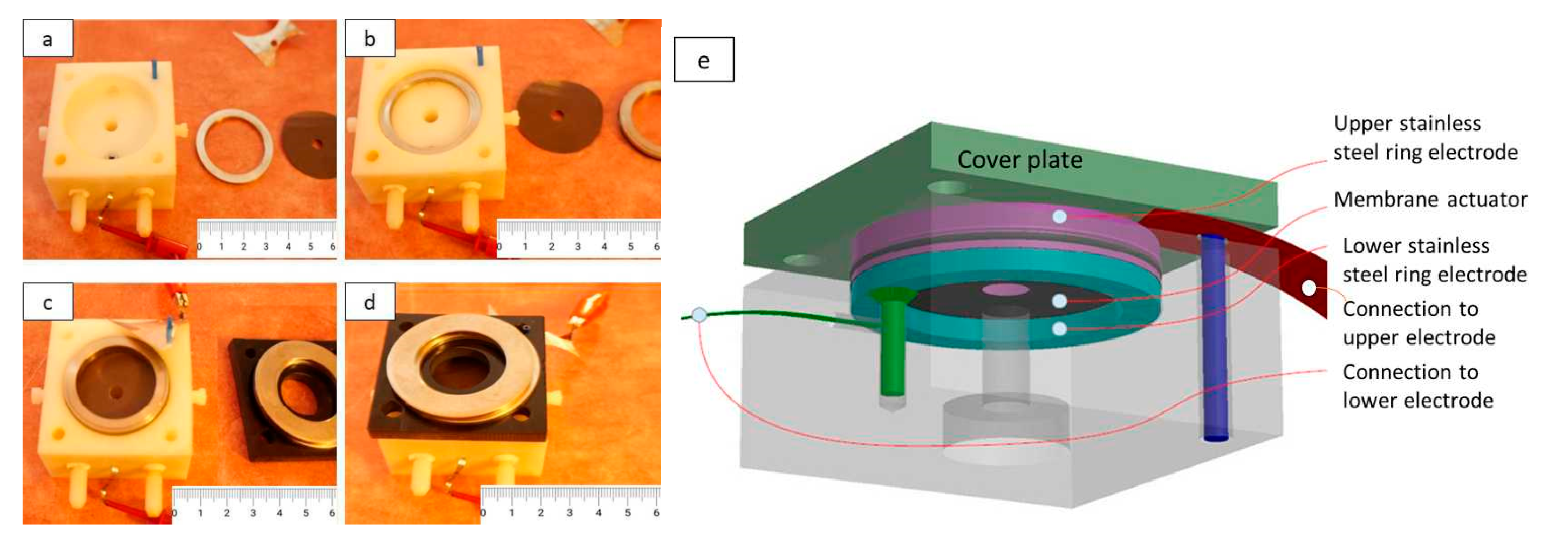 Polymers 13 00125 g001