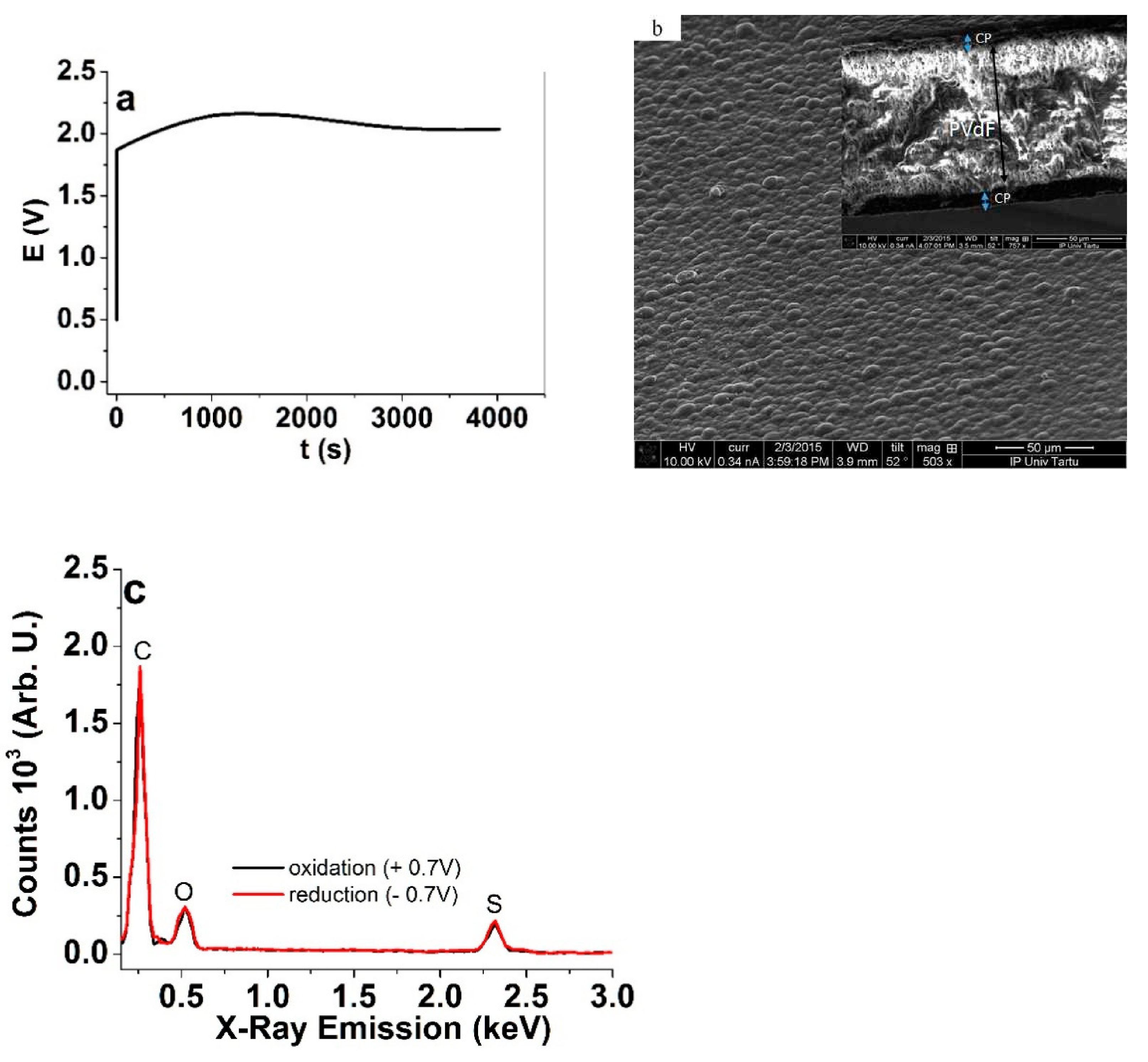 Polymers 13 00125 g002